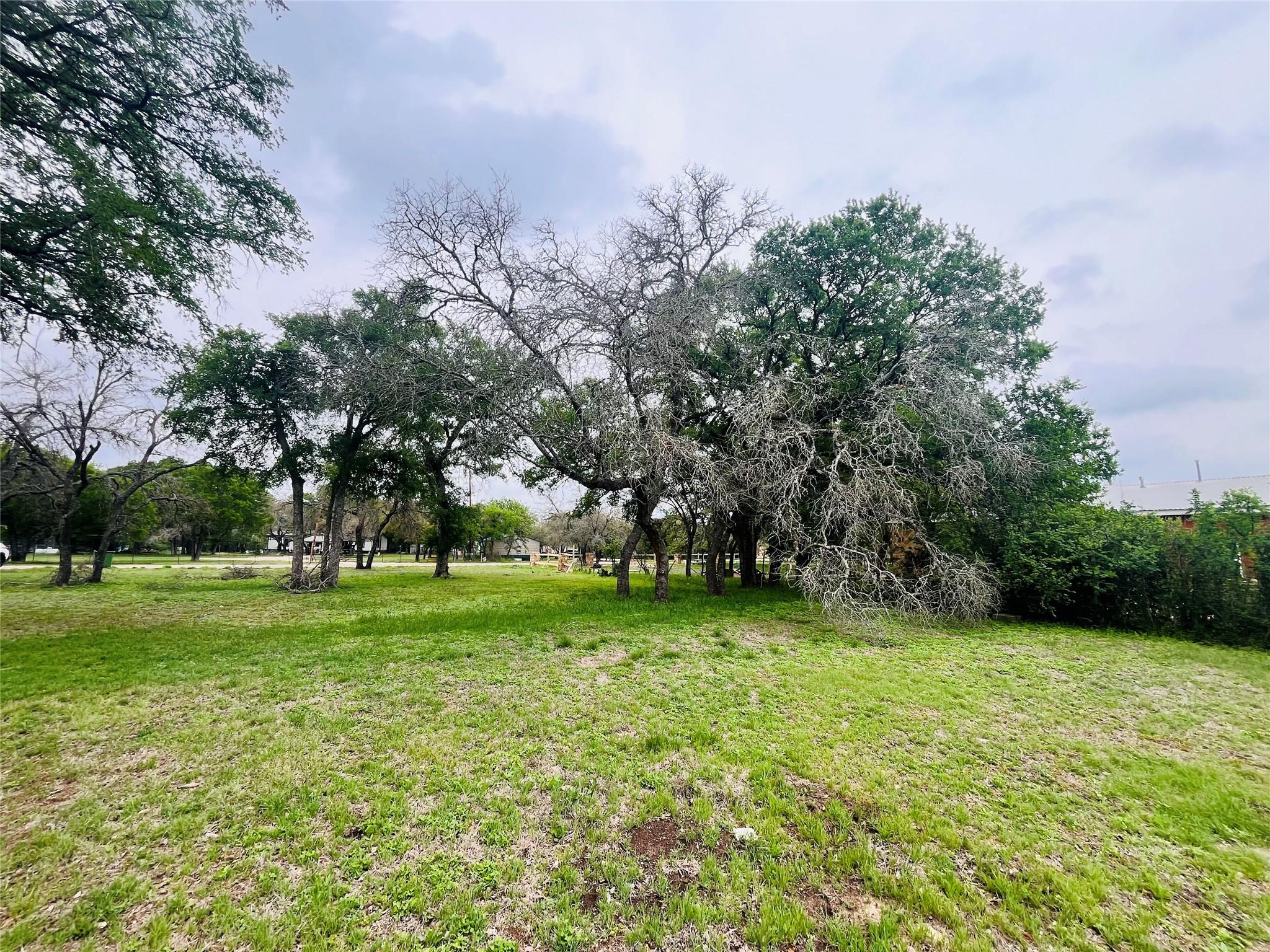 309 Remuda Rd, Liberty Hill, TX 78642