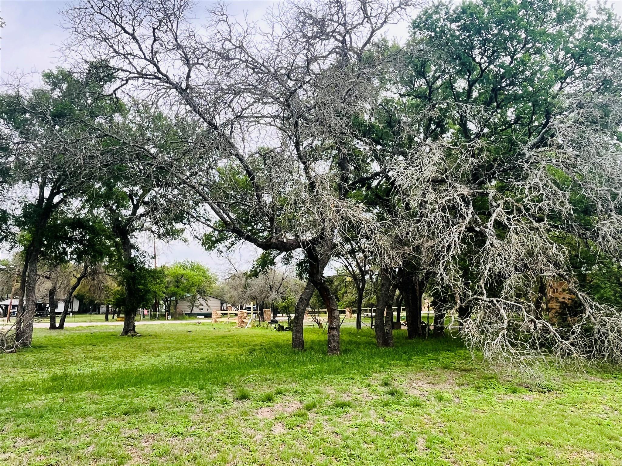 309 Remuda Rd, Liberty Hill, TX 78642