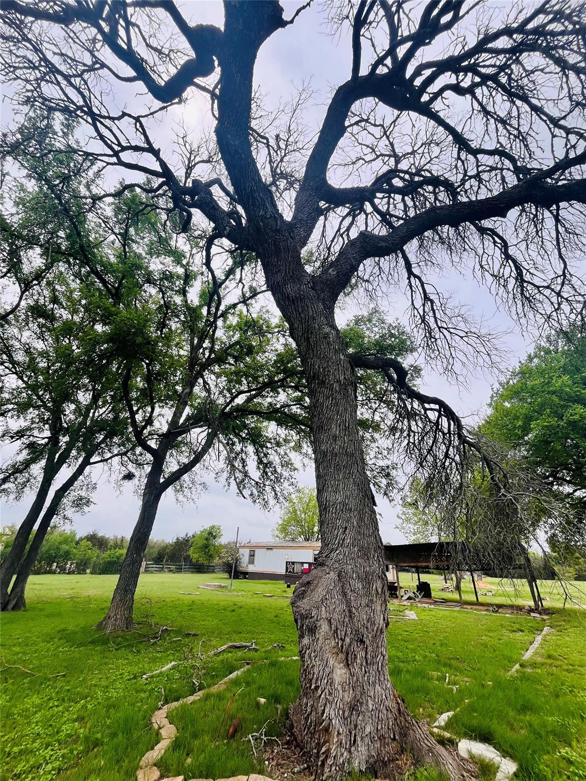 309 Remuda Rd, Liberty Hill, TX 78642