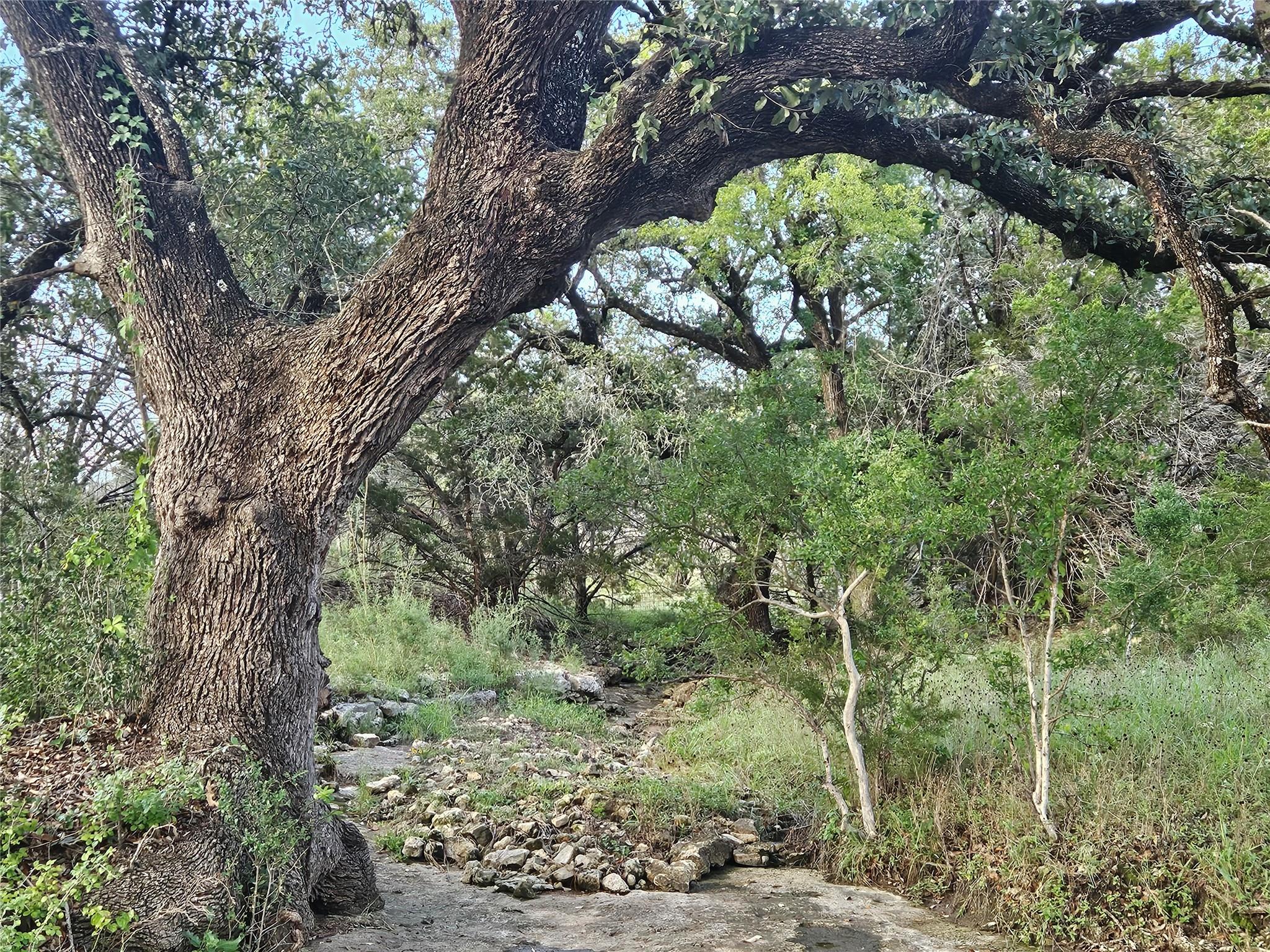 9939 County Road 404, Spicewood, TX 78669