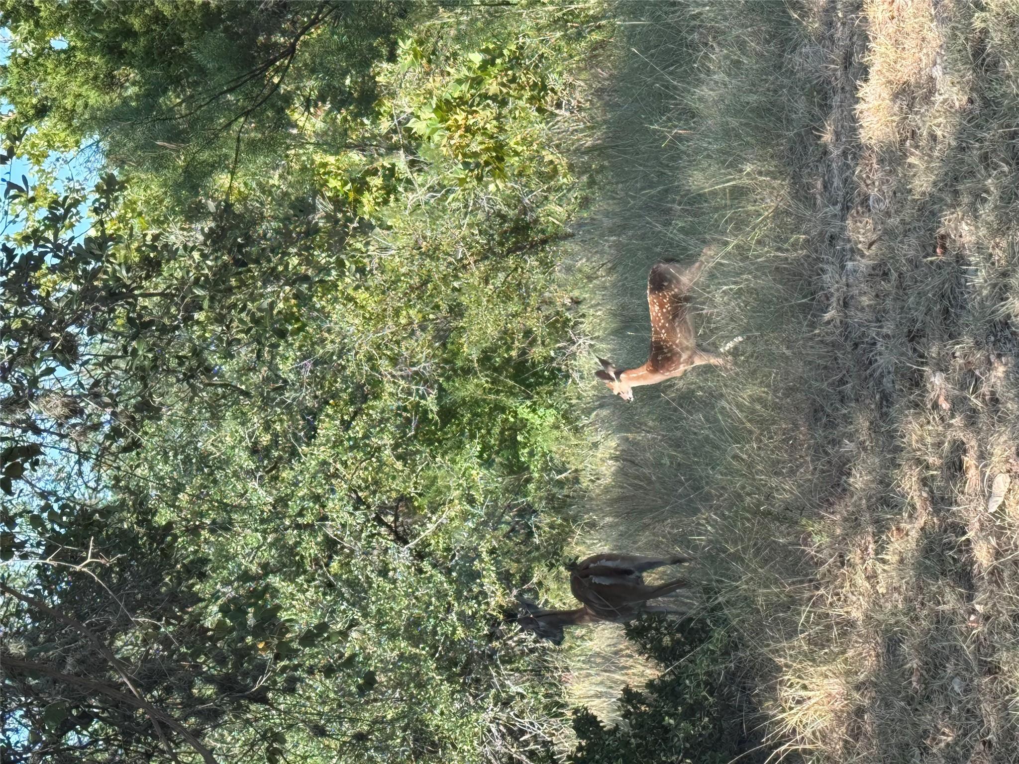 0000 Hi Stirrup/Moon, Horseshoe Bay, TX 78657