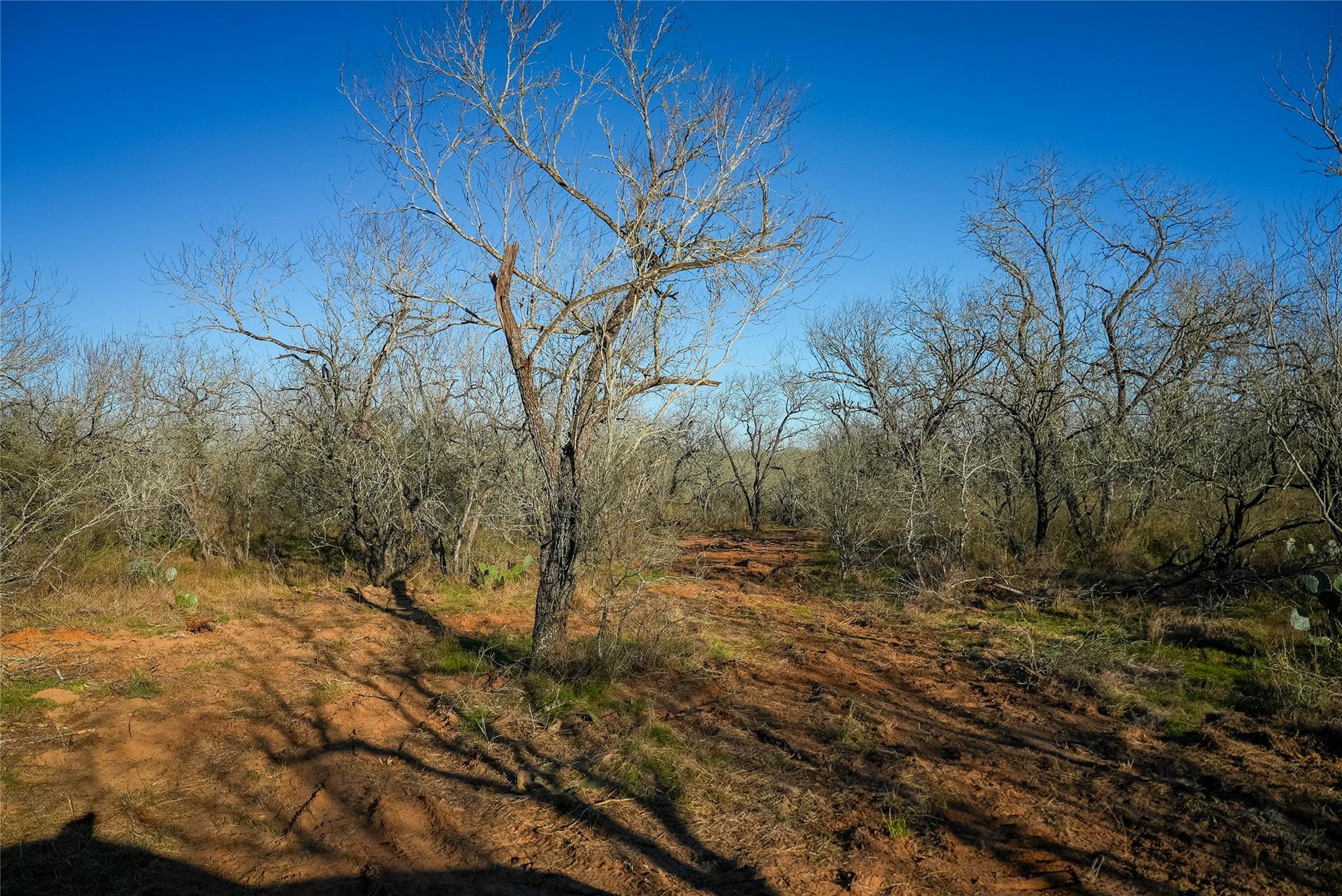 000 Cross Rd, Seguin, TX 78155