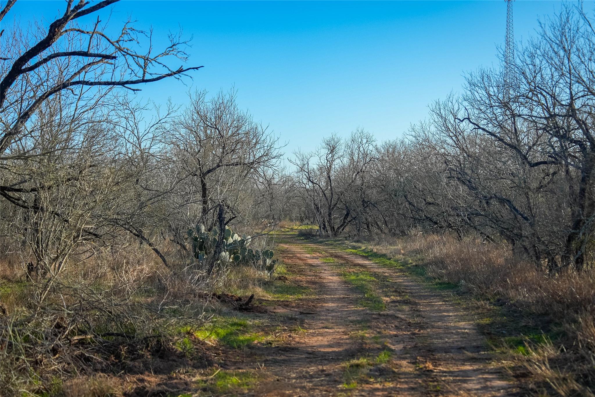000 Cross Rd, Seguin, TX 78155
