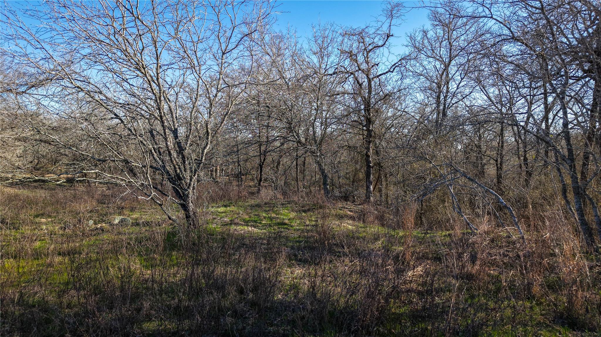 000 Cross Rd, Seguin, TX 78155