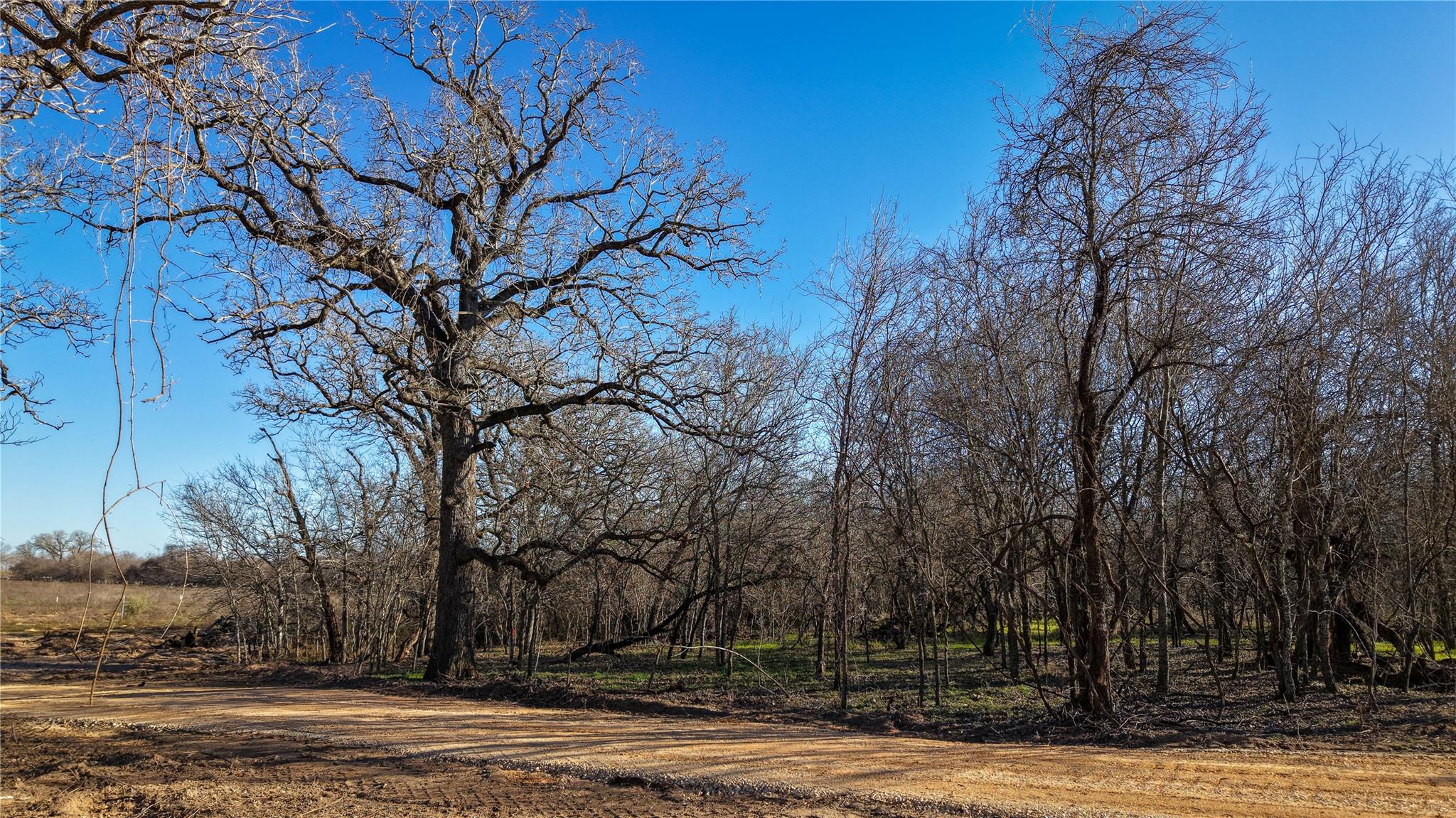 000 Cross Rd, Seguin, TX 78155