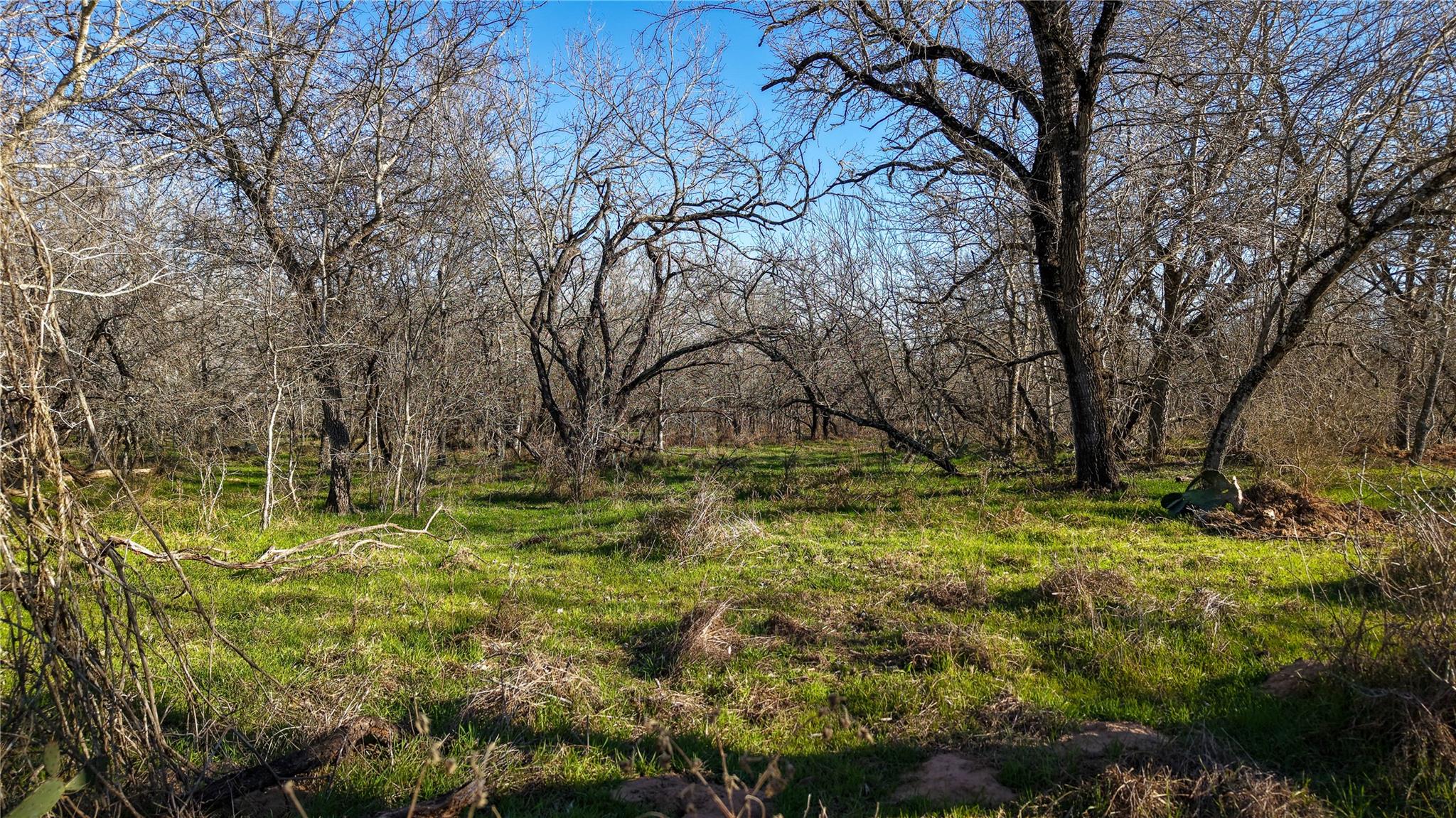 000 Cross Rd, Seguin, TX 78155