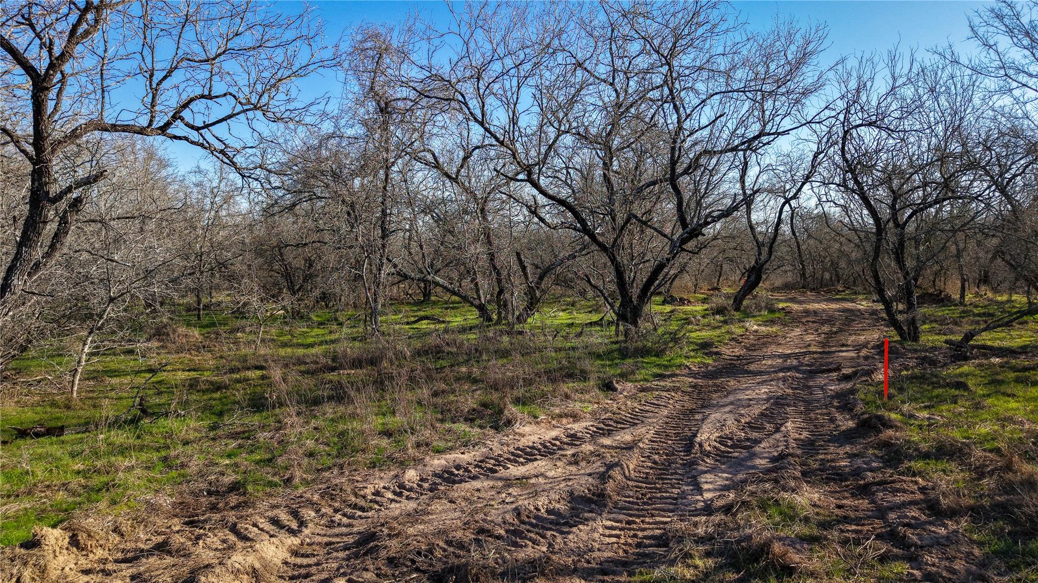000 Cross Rd, Seguin, TX 78155
