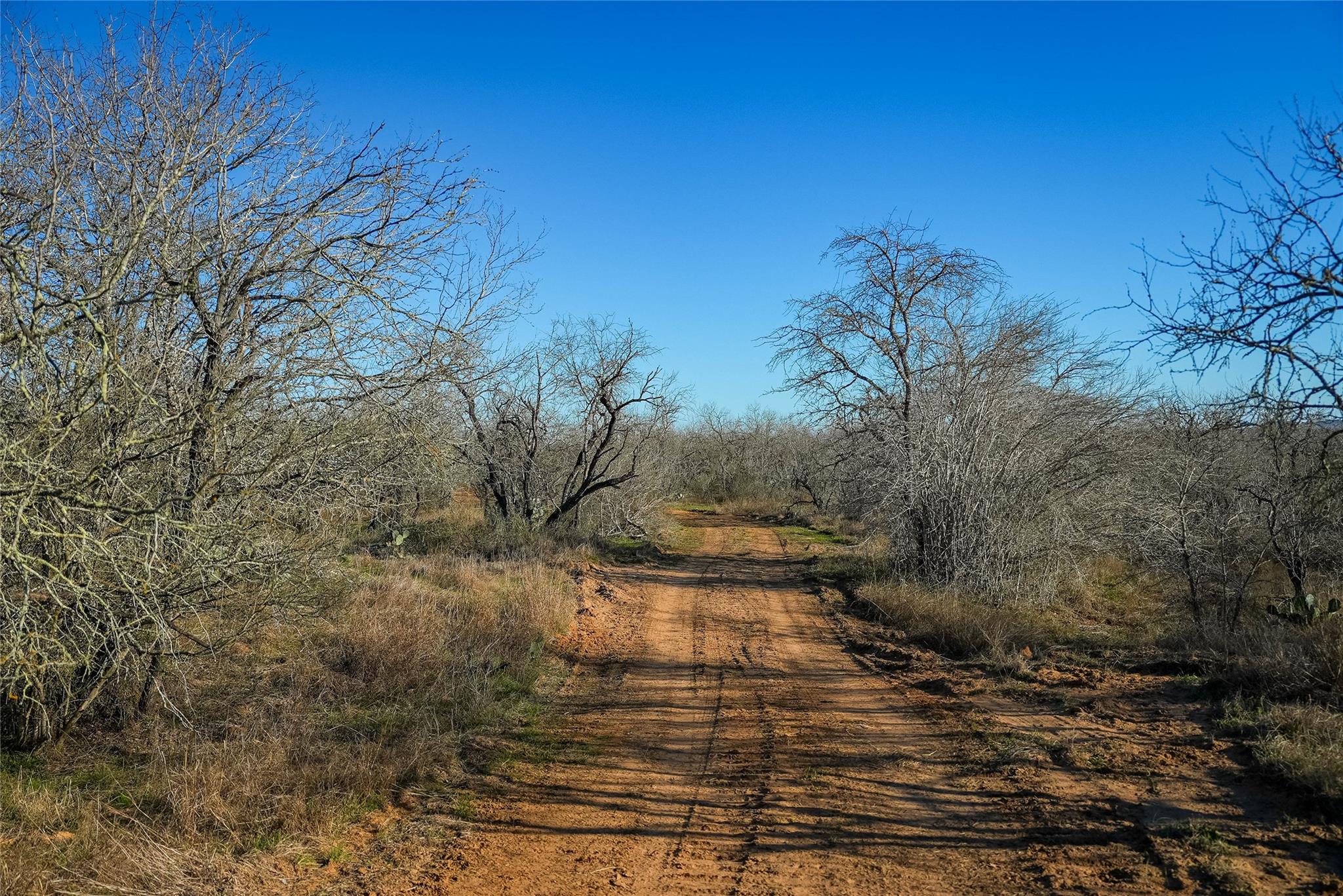 000 Cross Rd, Seguin, TX 78155