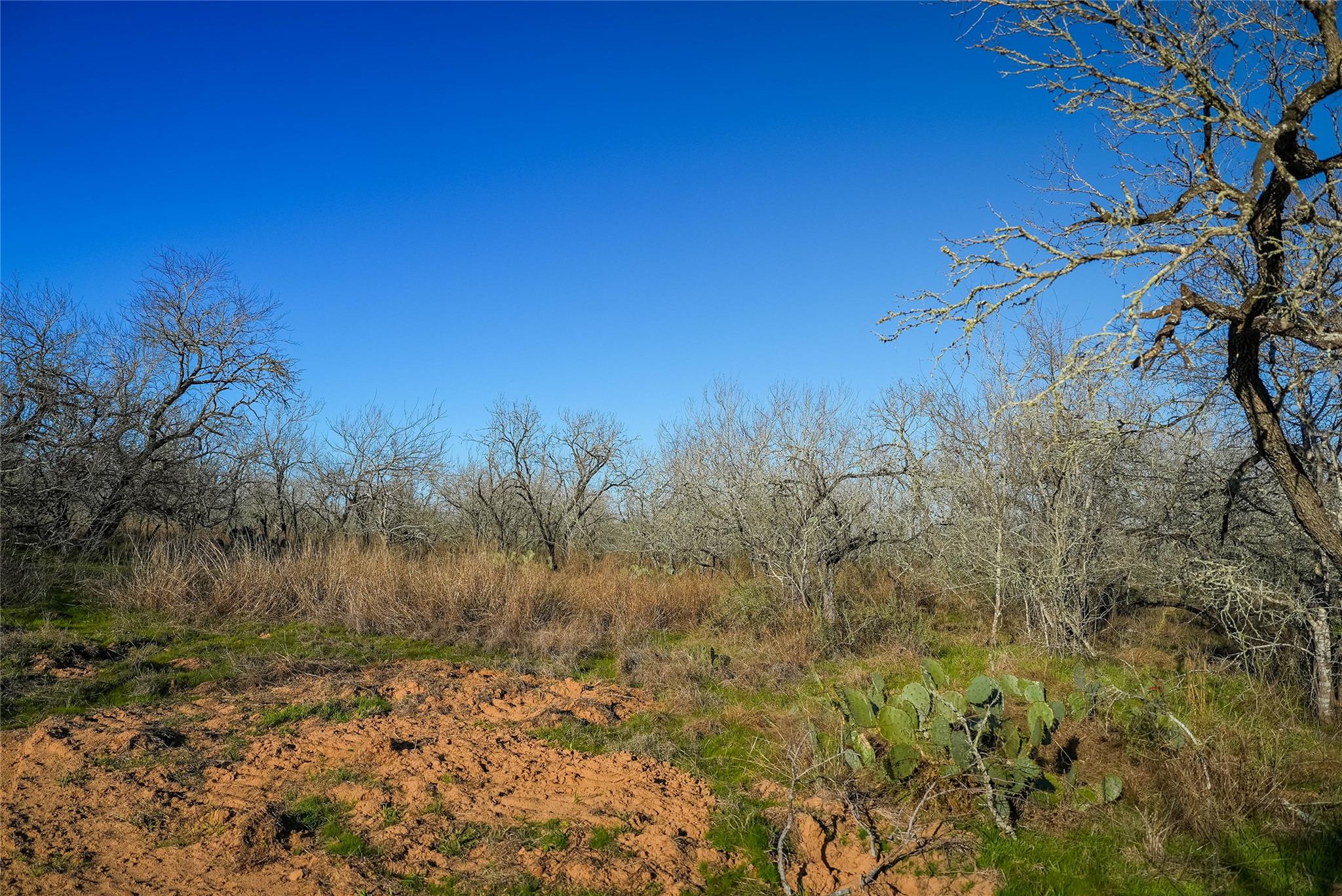 000 Cross Rd, Seguin, TX 78155