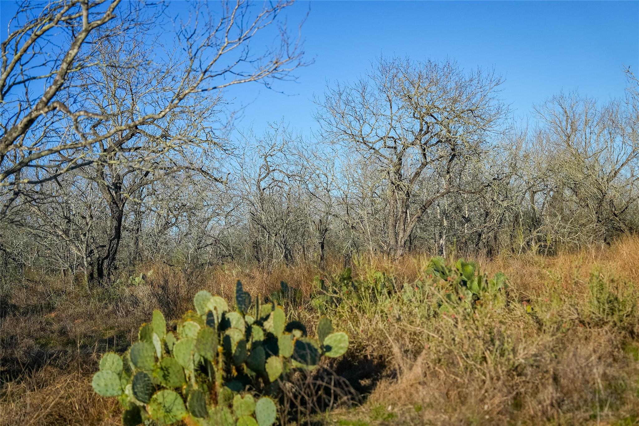 000 Cross Rd, Seguin, TX 78155