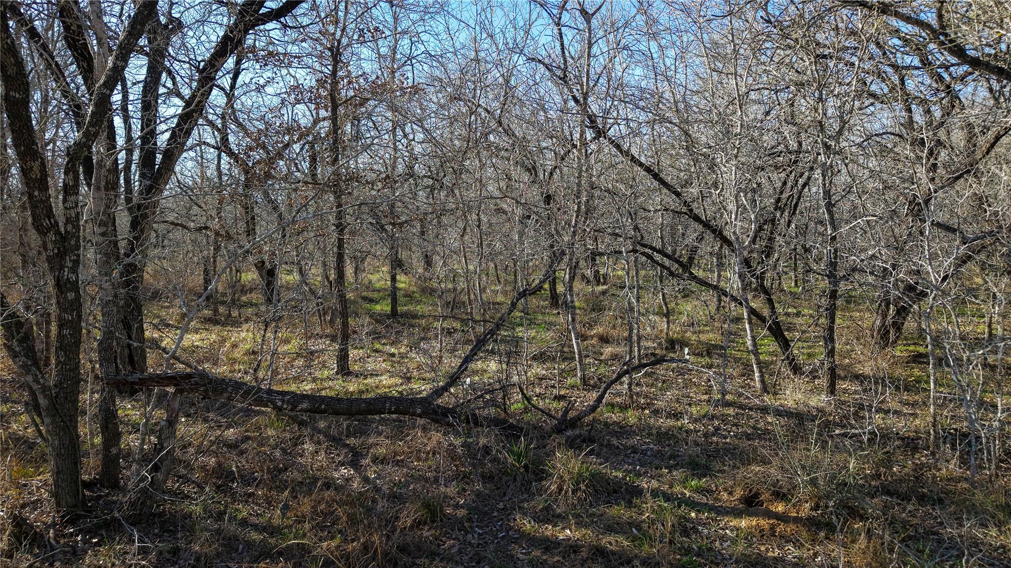 000 Cross Rd, Seguin, TX 78155