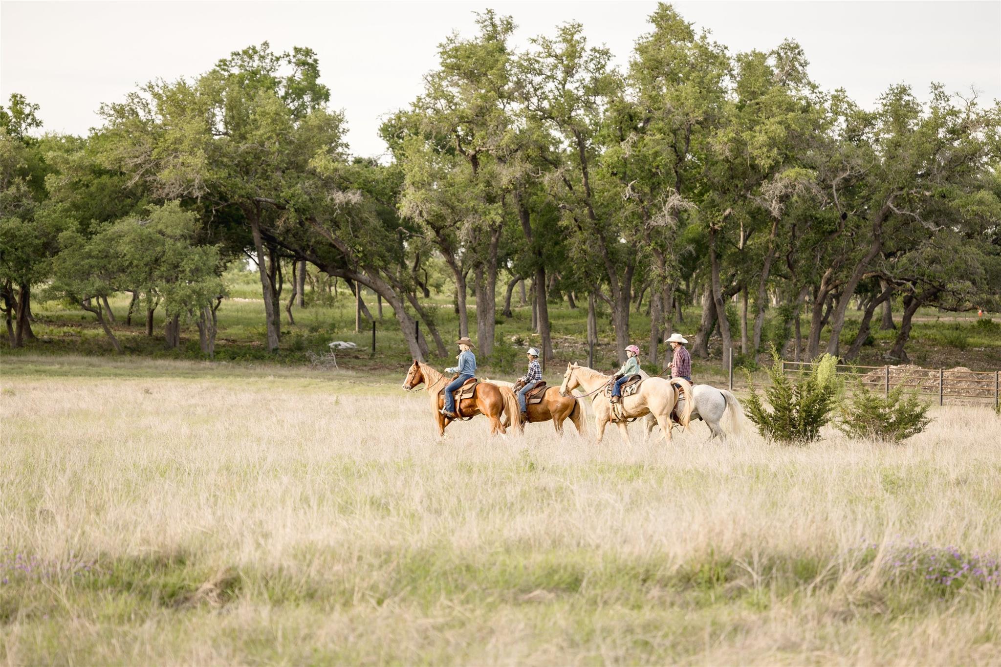 Lot 34 Mesa Ranch Rd, Dripping Springs, TX 78620