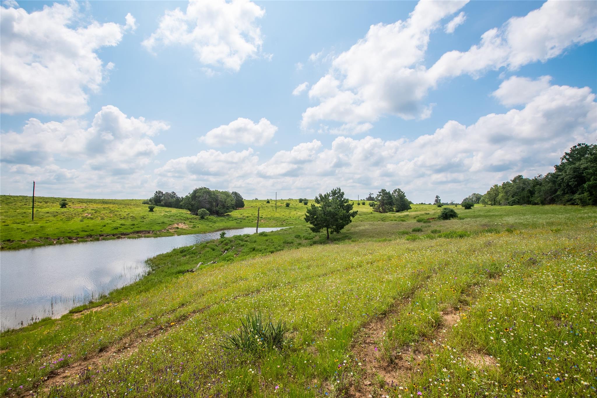 TBD Paint Creek Rd, McDade, TX 78650