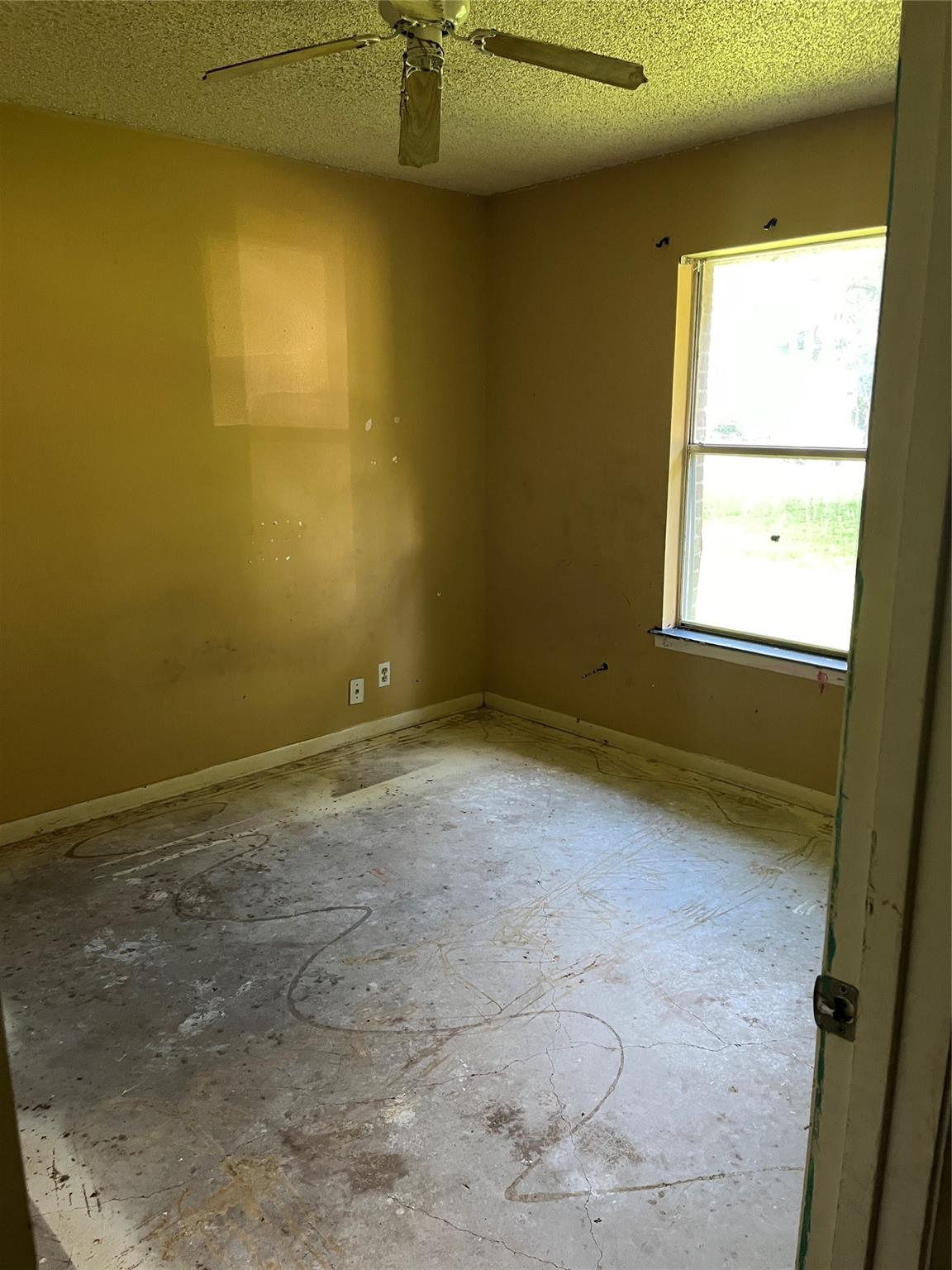 313 Golden Oaks Dr, Georgetown, TX 78628