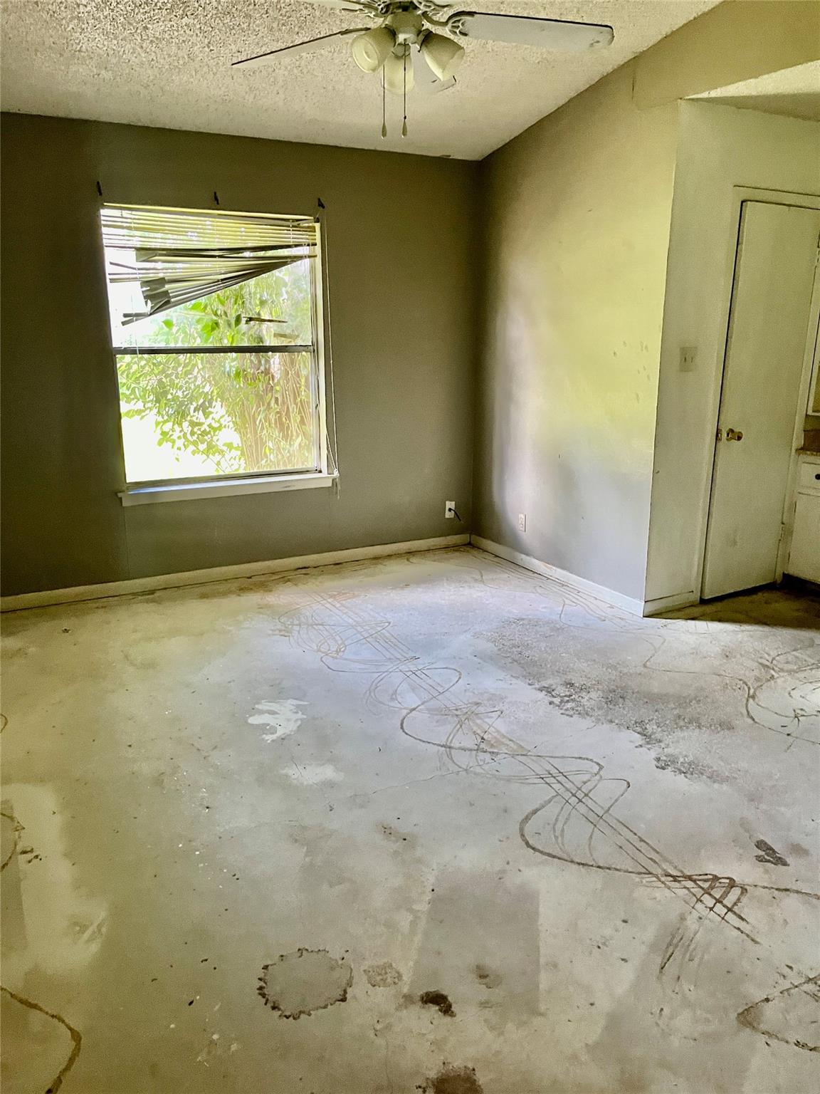 313 Golden Oaks Dr, Georgetown, TX 78628