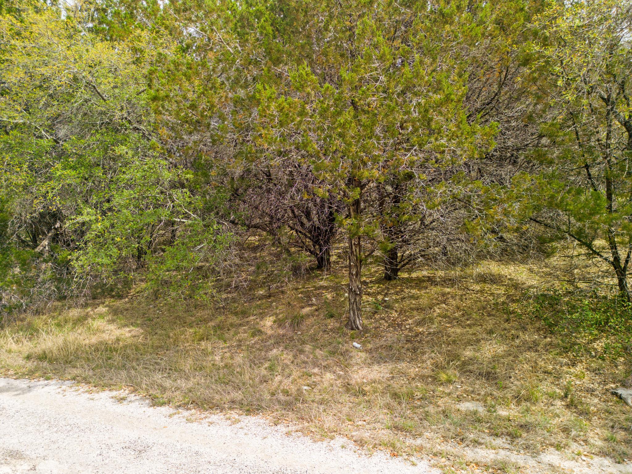 6711 Bar K Clubhouse Ct, Lago Vista, TX 78645