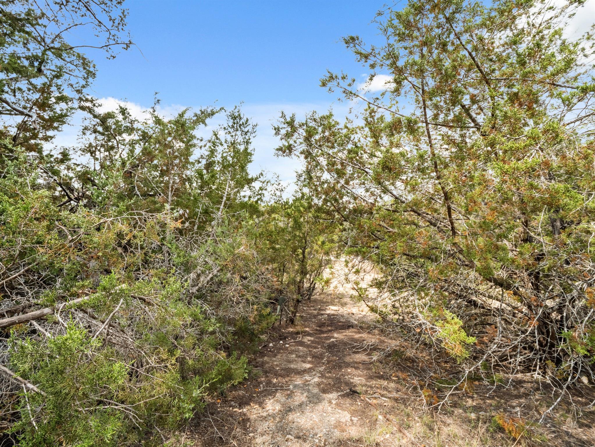 6711 Bar K Clubhouse Ct, Lago Vista, TX 78645