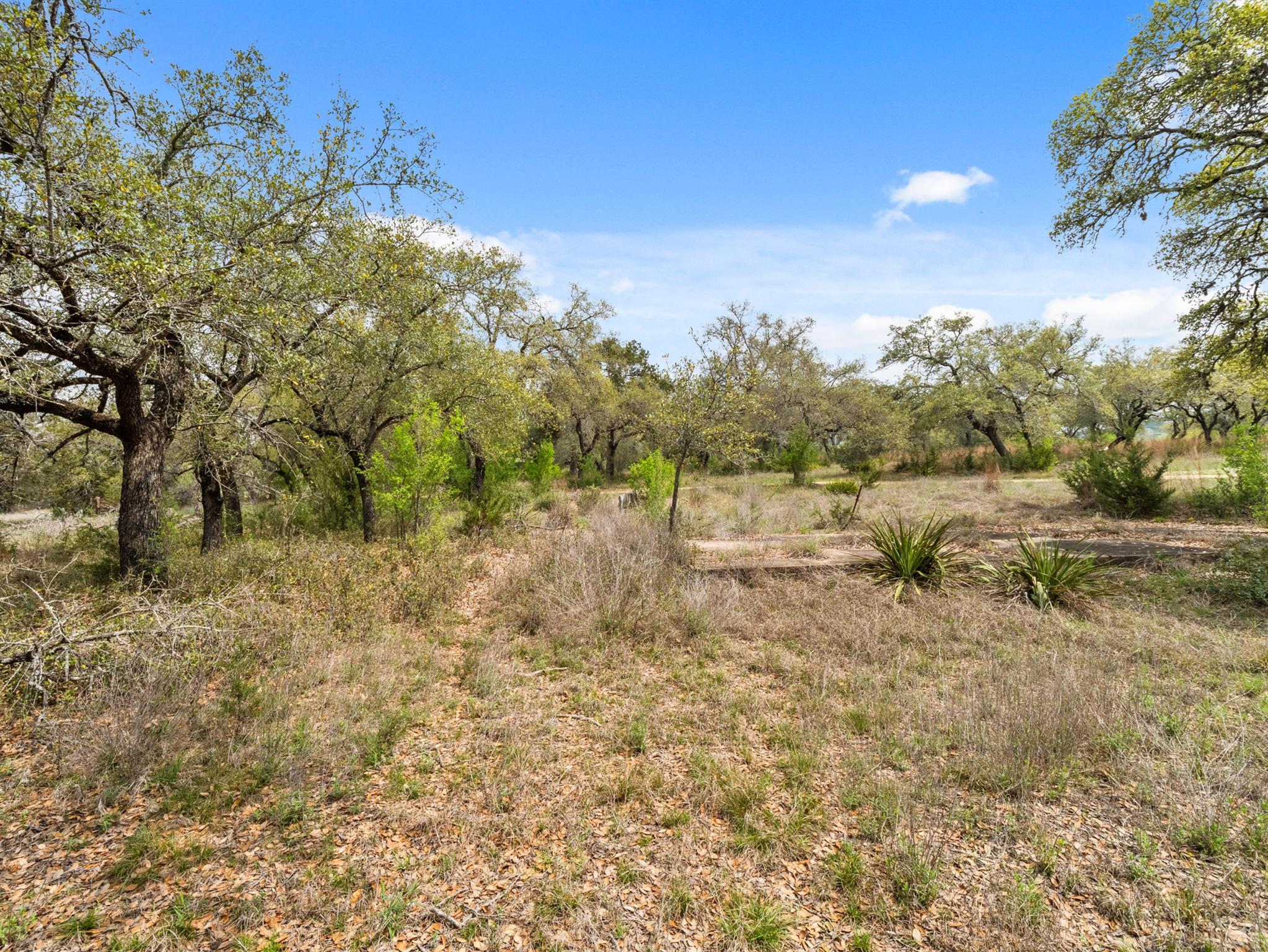 6711 Bar K Clubhouse Ct, Lago Vista, TX 78645