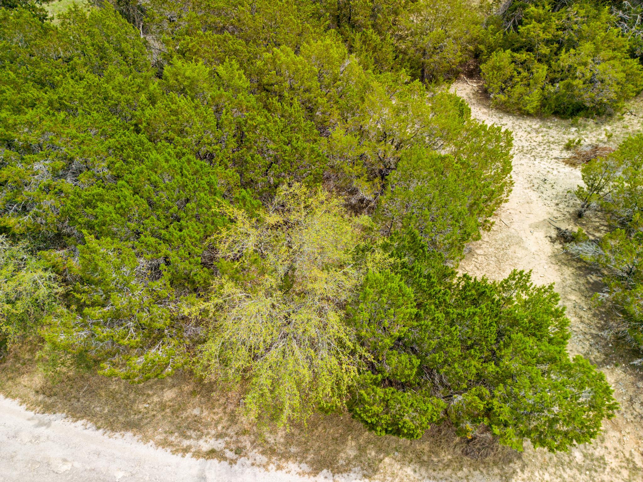 6711 Bar K Clubhouse Ct, Lago Vista, TX 78645