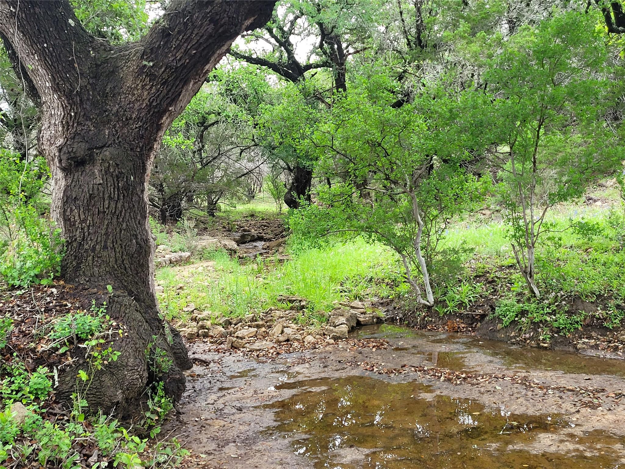 9939 County Road 404, Spicewood, TX 78669