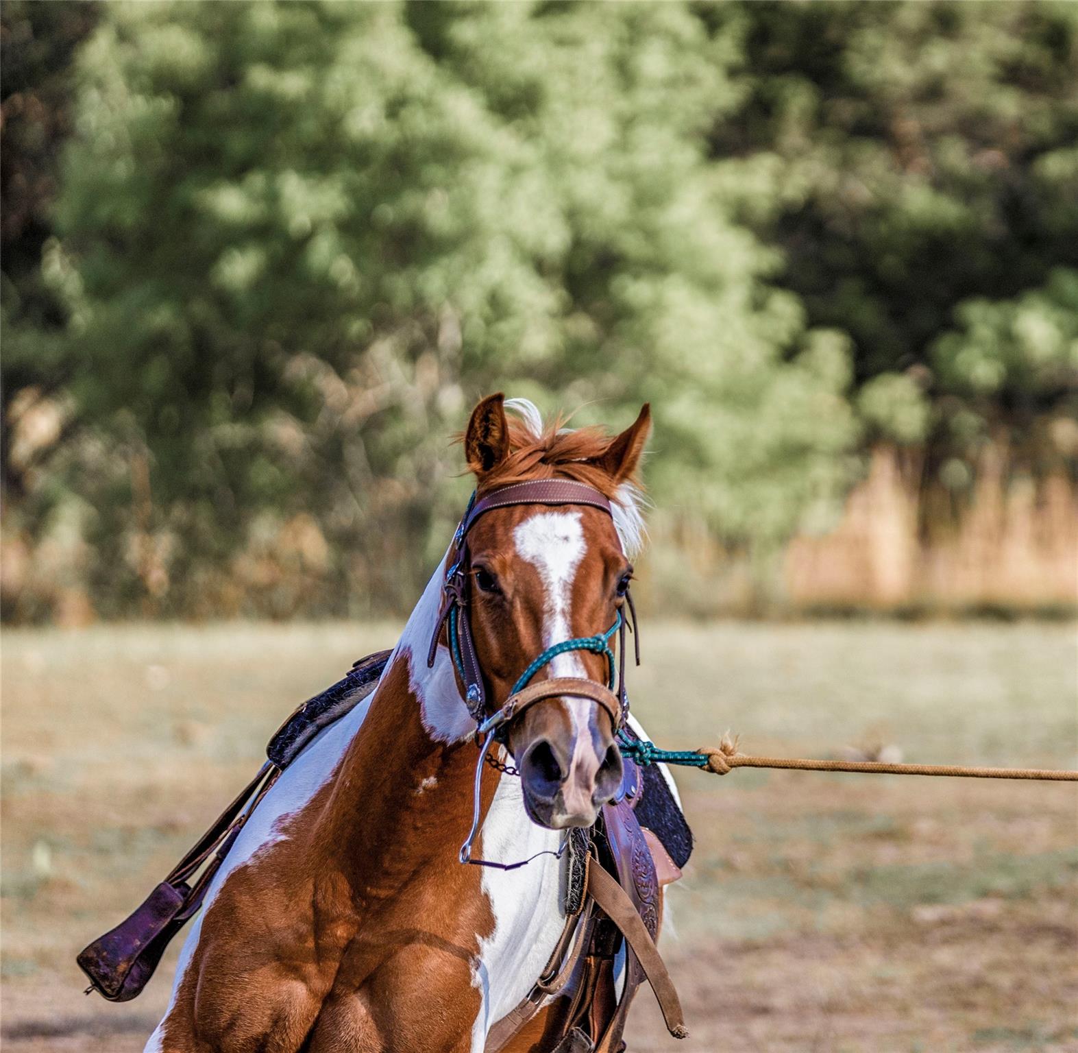 9939 County Road 404, Spicewood, TX 78669