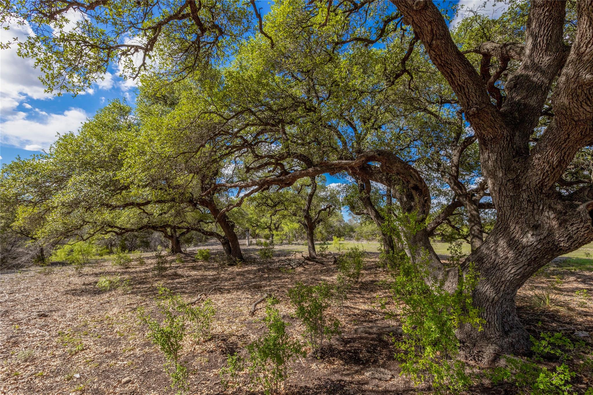 9939 County Road 404, Spicewood, TX 78669