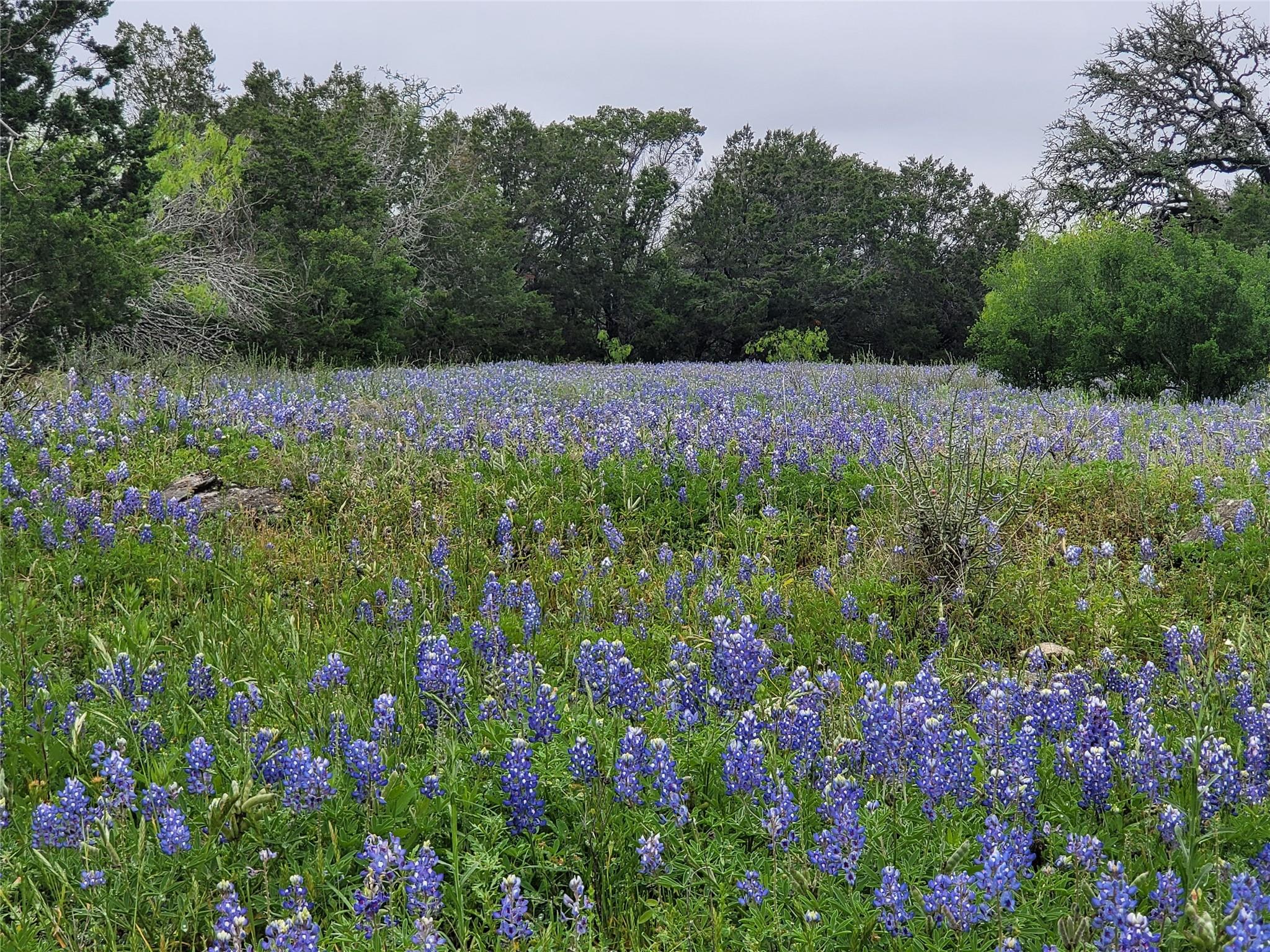 9939 County Road 404, Spicewood, TX 78669