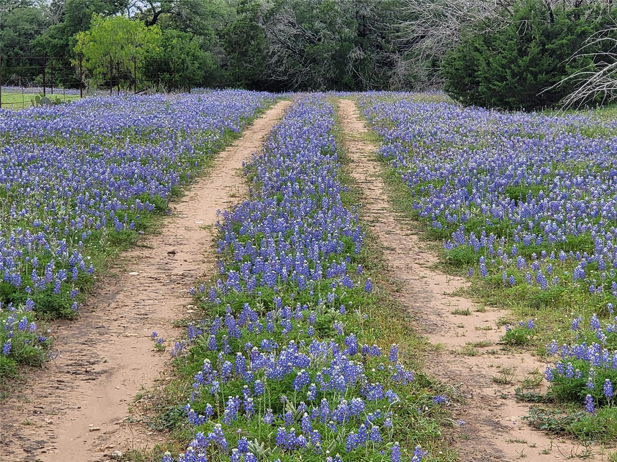 9939 County Road 404, Spicewood, TX 78669