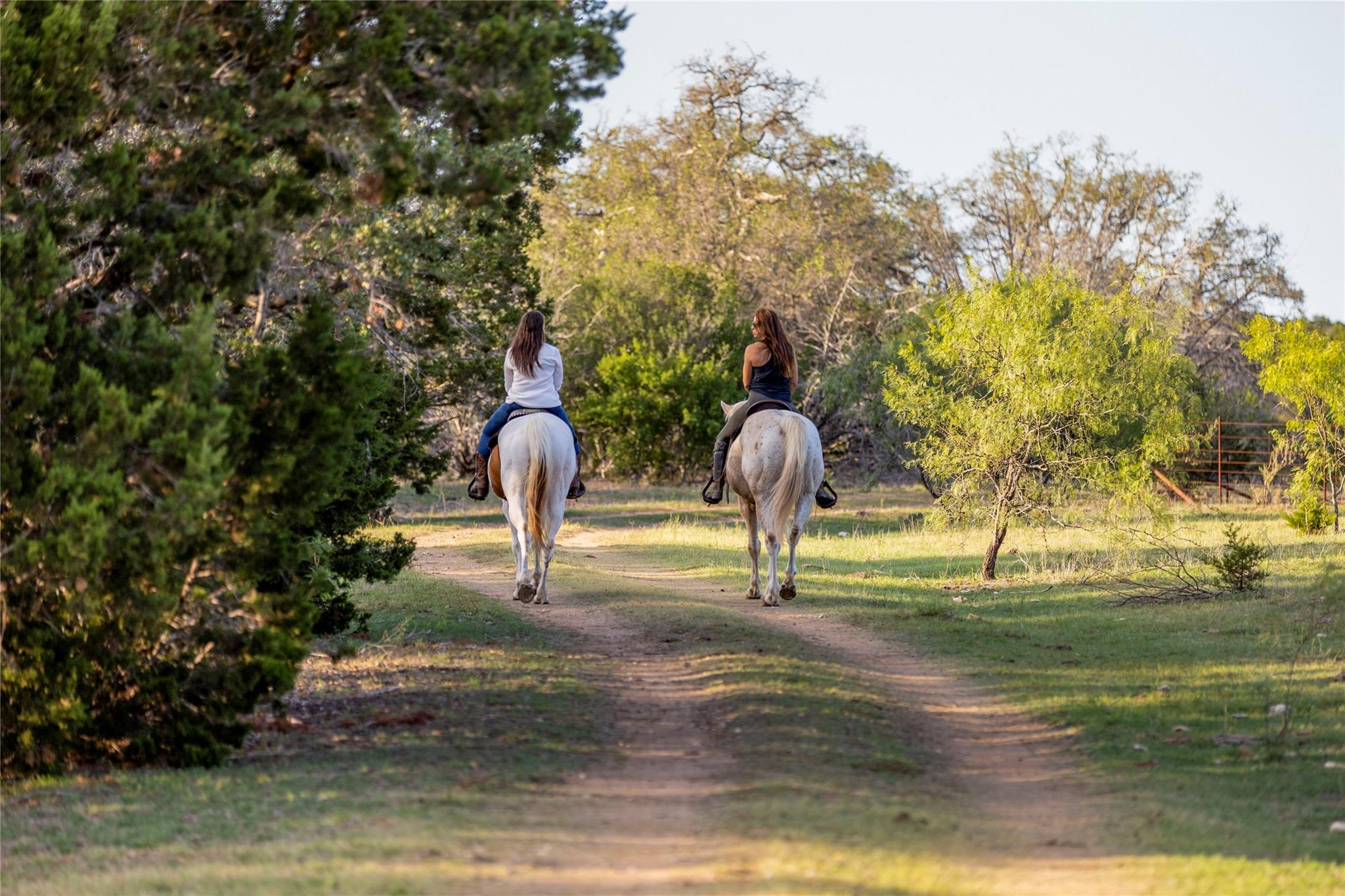 9939 County Road 404, Spicewood, TX 78669