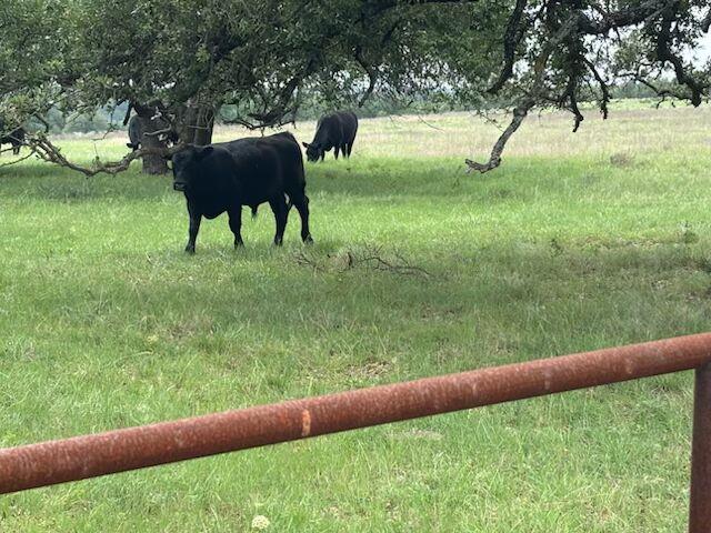 000 County Road 228 Rd, Florence, TX 76527