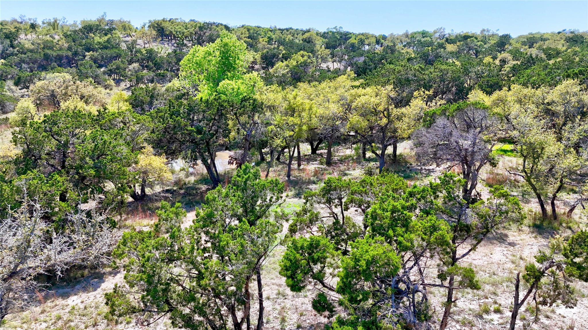 TBD Moonridge Ln, Wimberley, TX 78676
