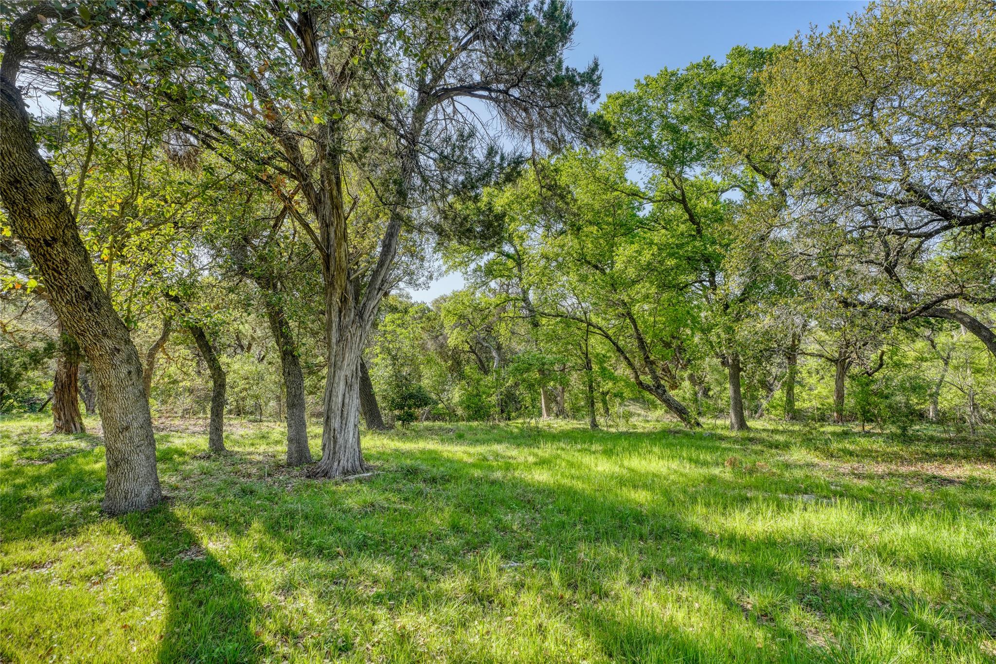 535 Greenridge Rd, Georgetown, TX 78628