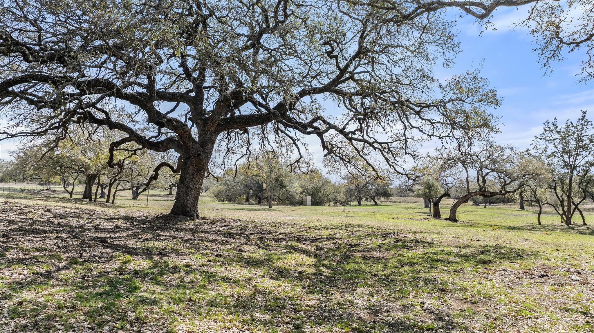 TBD Klett Ranch Rd, Johnson City, TX 78636