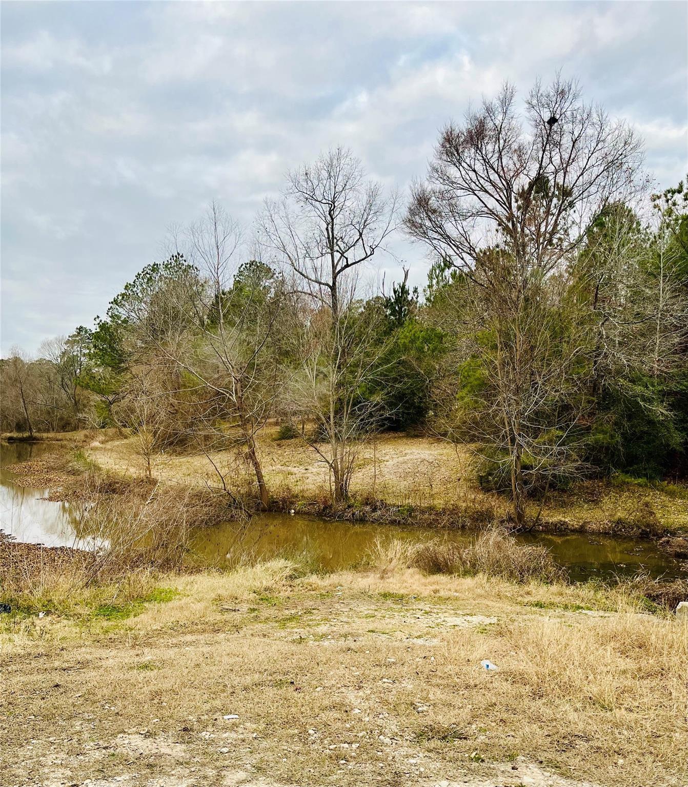 Lot 380 County Road 6494, Dayton, TX 77535