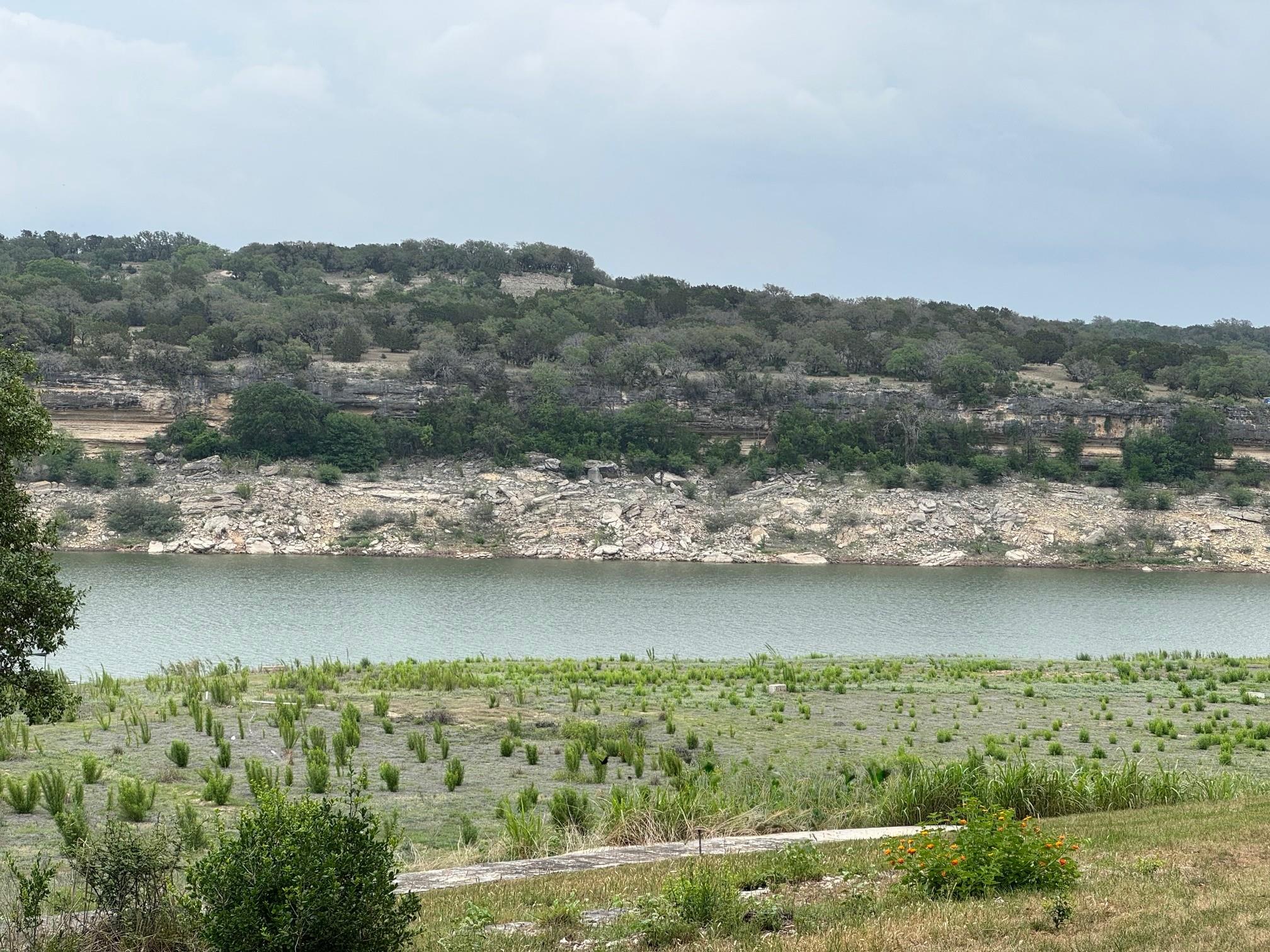 24736 Travis Lakeside Cv, Spicewood, TX 78669