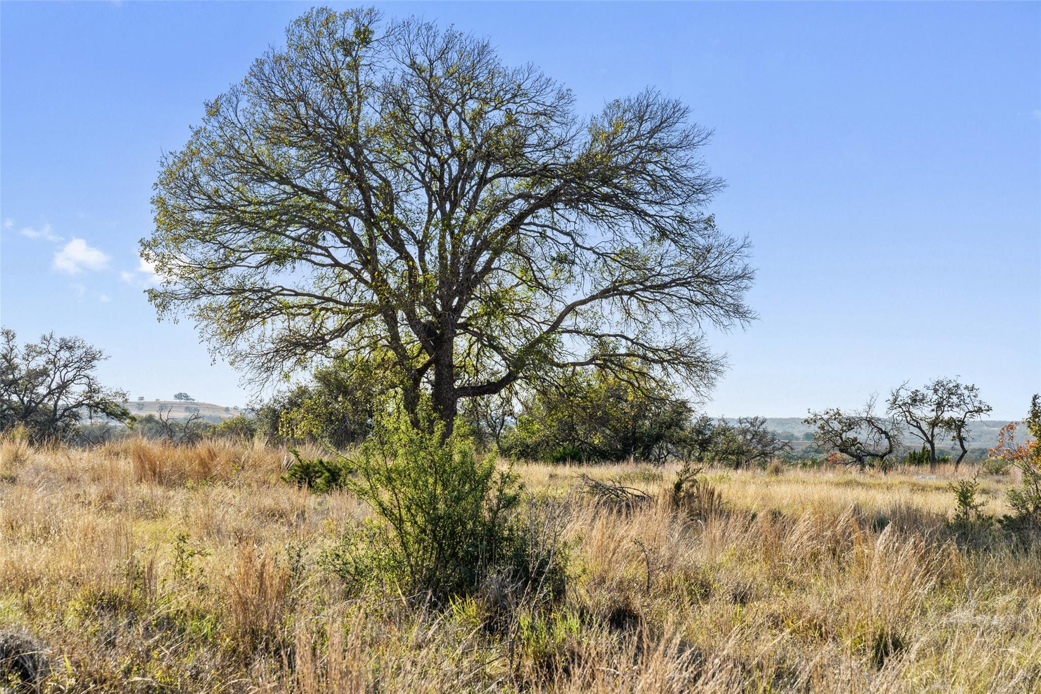 LOT 91 Axis Cir, Fredericksburg, TX 78624