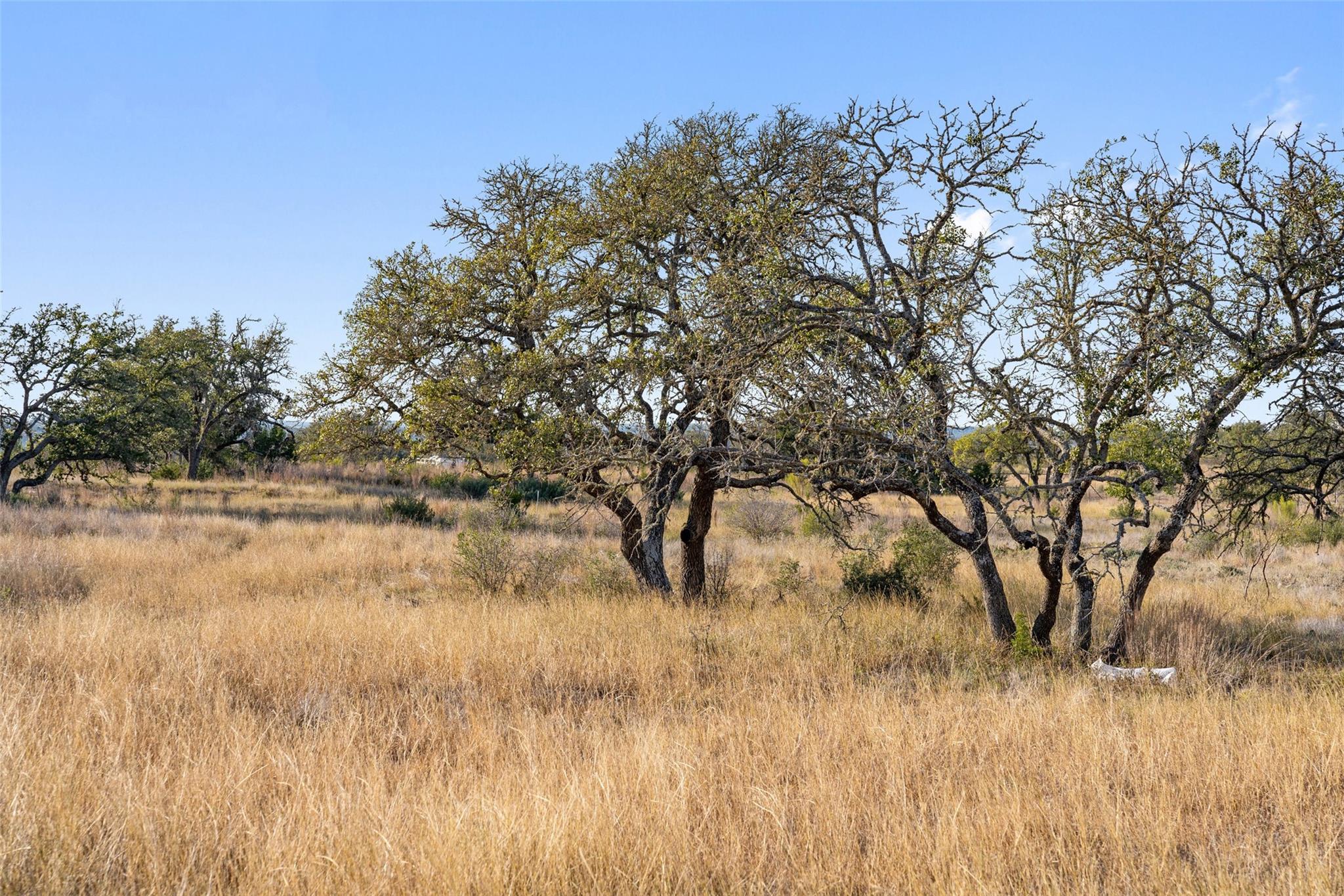 LOT 91 Axis Cir, Fredericksburg, TX 78624