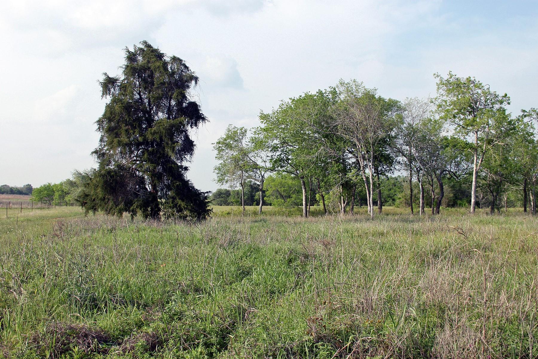 3223 Old Kelley Rd, Lockhart, TX 78644