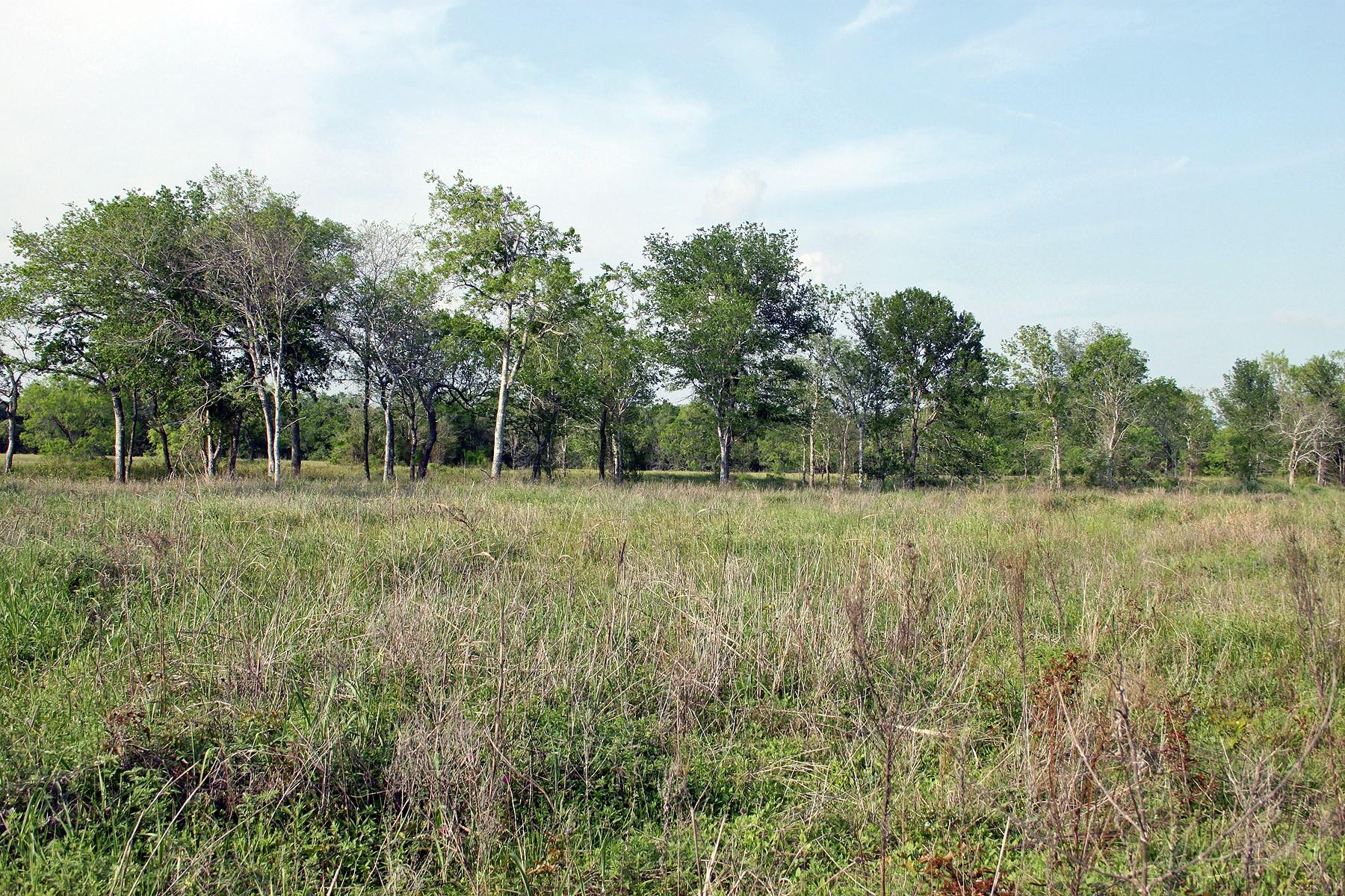 3223 Old Kelley Rd, Lockhart, TX 78644