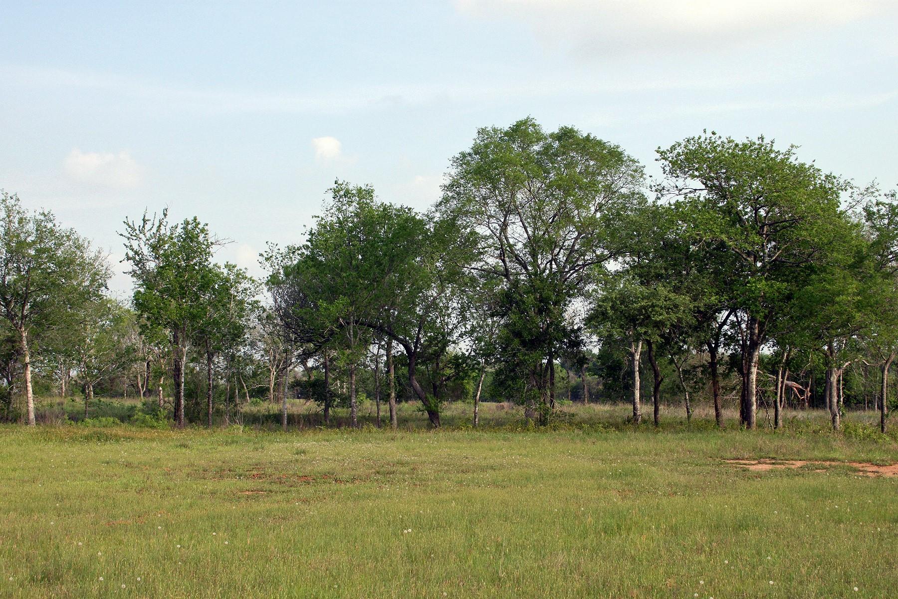 3223 Old Kelley Rd, Lockhart, TX 78644