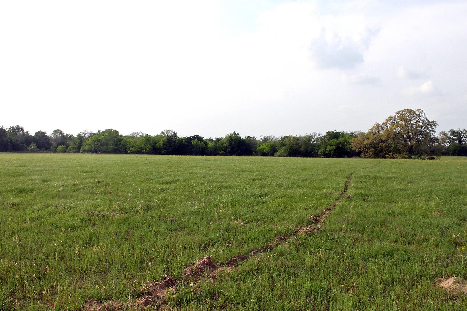 3223 Old Kelley Rd, Lockhart, TX 78644