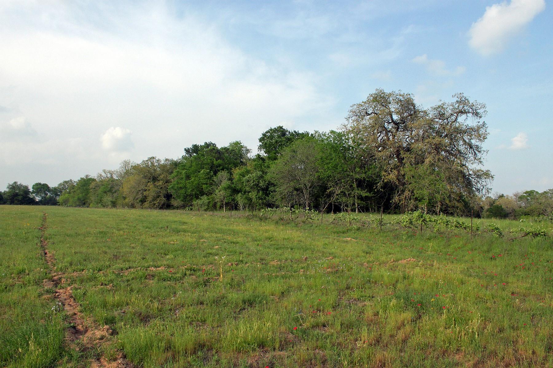 3223 Old Kelley Rd, Lockhart, TX 78644