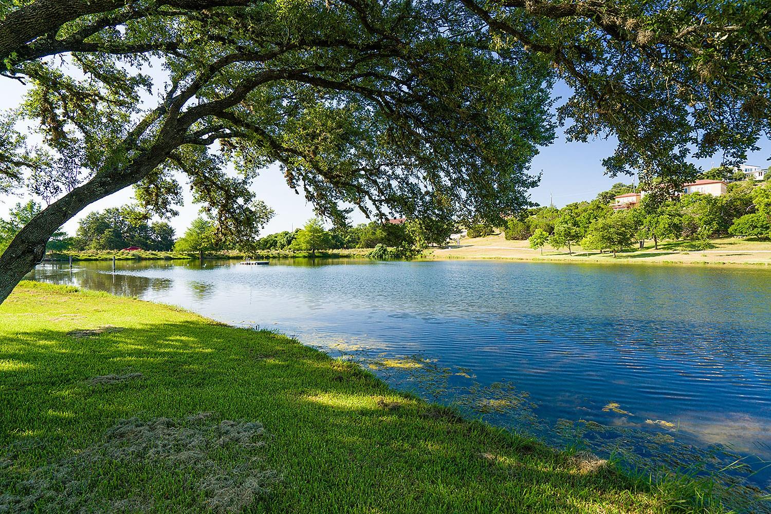 18003 Linkhill Dr, Dripping Springs, TX 78620