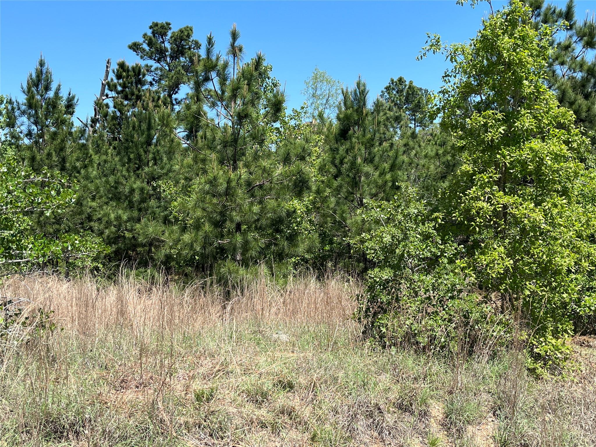 LOT 635 Mahalo Ct, Bastrop, TX 78602