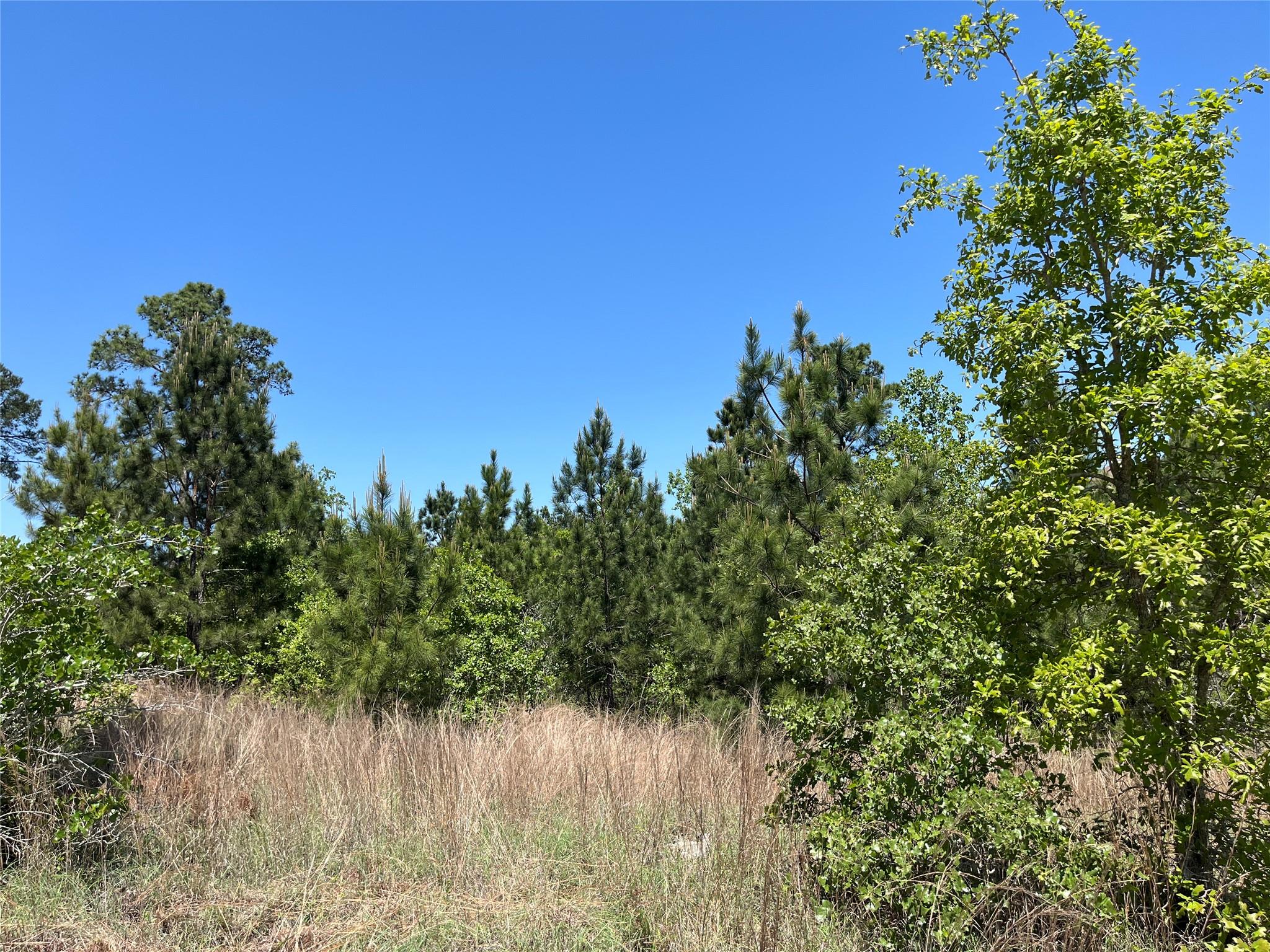 LOT 635 Mahalo Ct, Bastrop, TX 78602