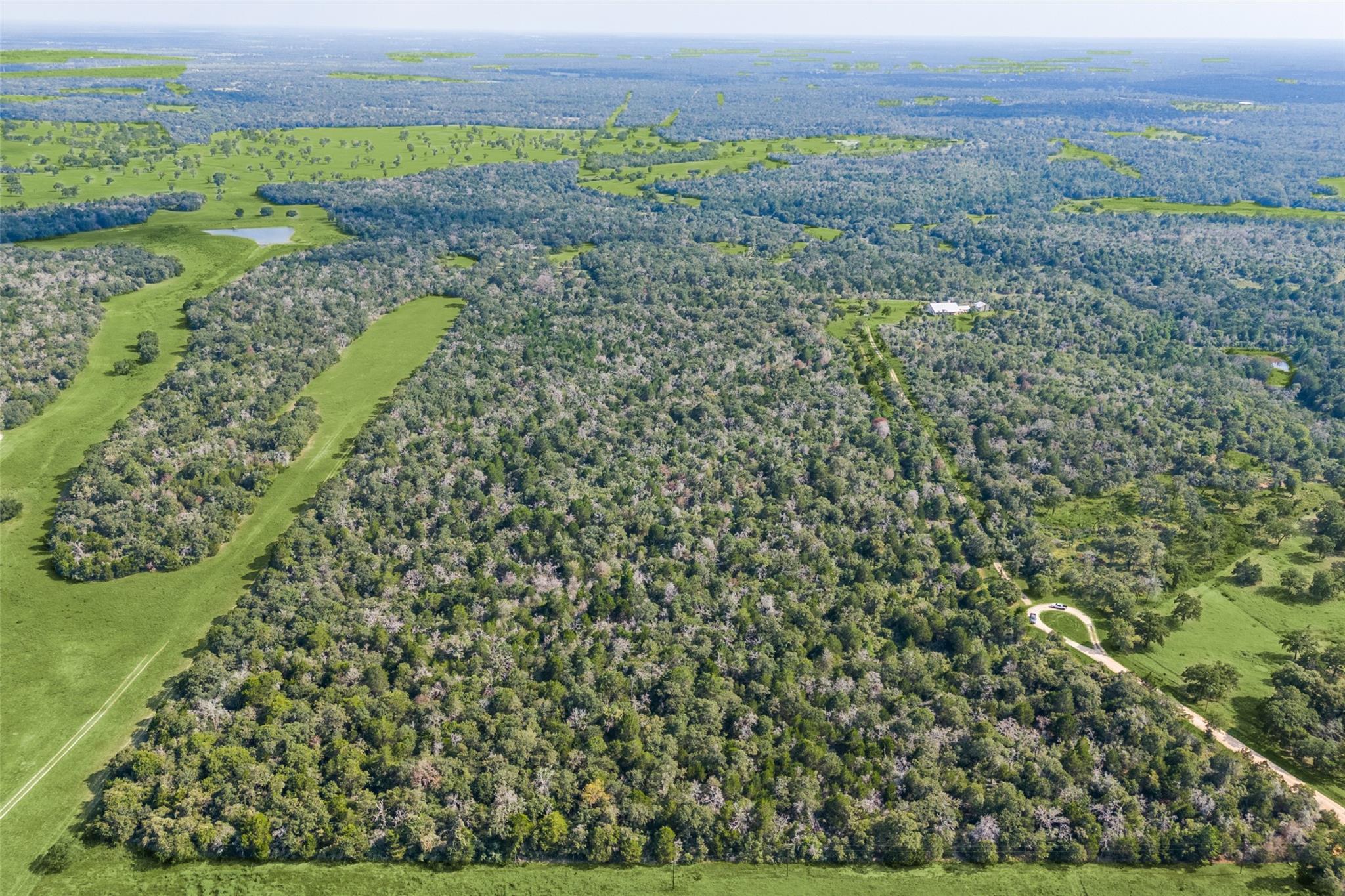 2199 Sandy Ranch Rd, Harwood, TX 78632