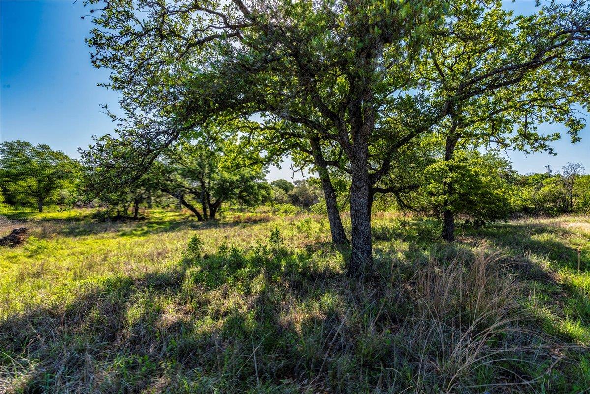 7688 Hwy 261 Highway, Buchanan Dam, TX 78609