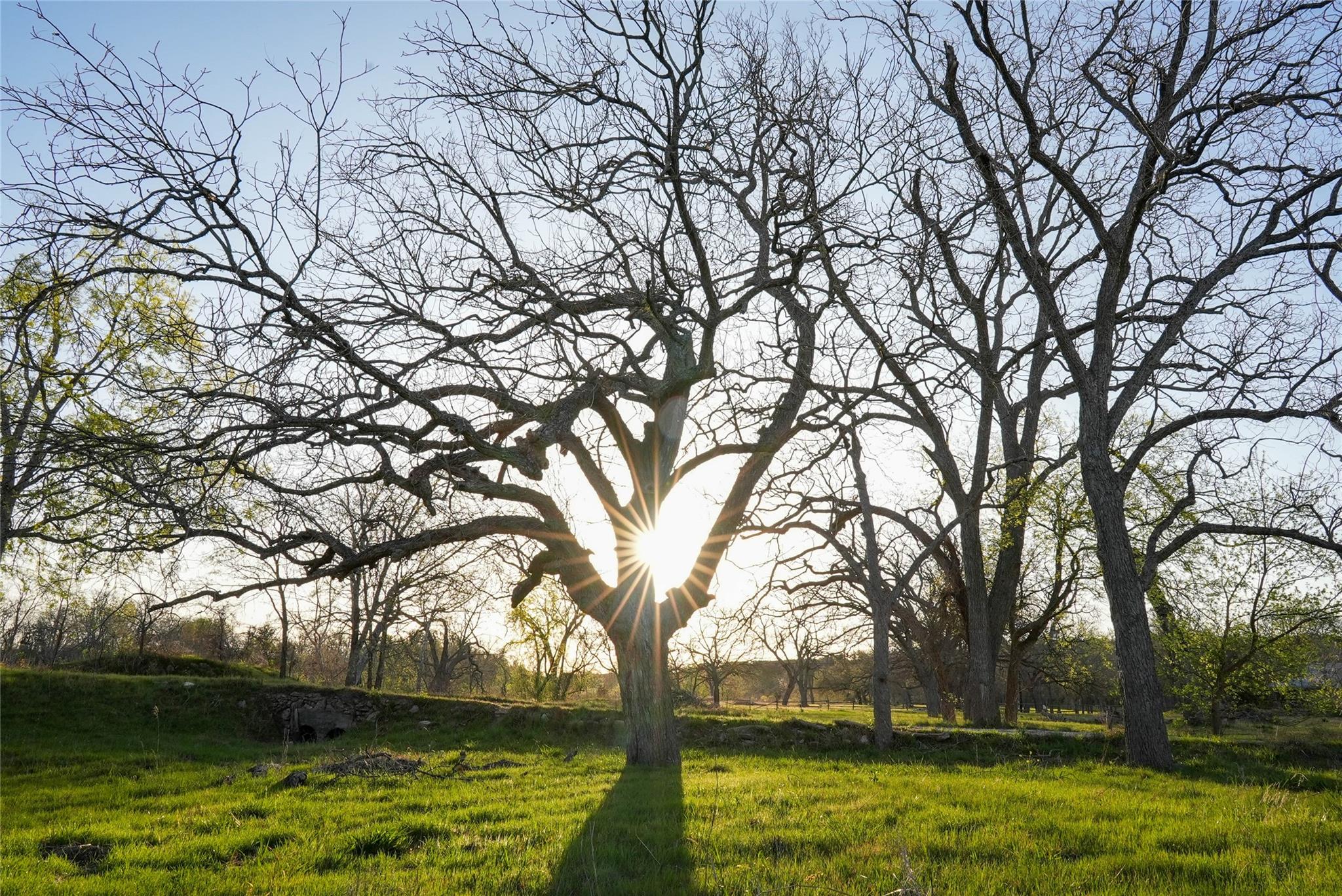 TBD Lost Acres Loop, Blanco, TX 78606