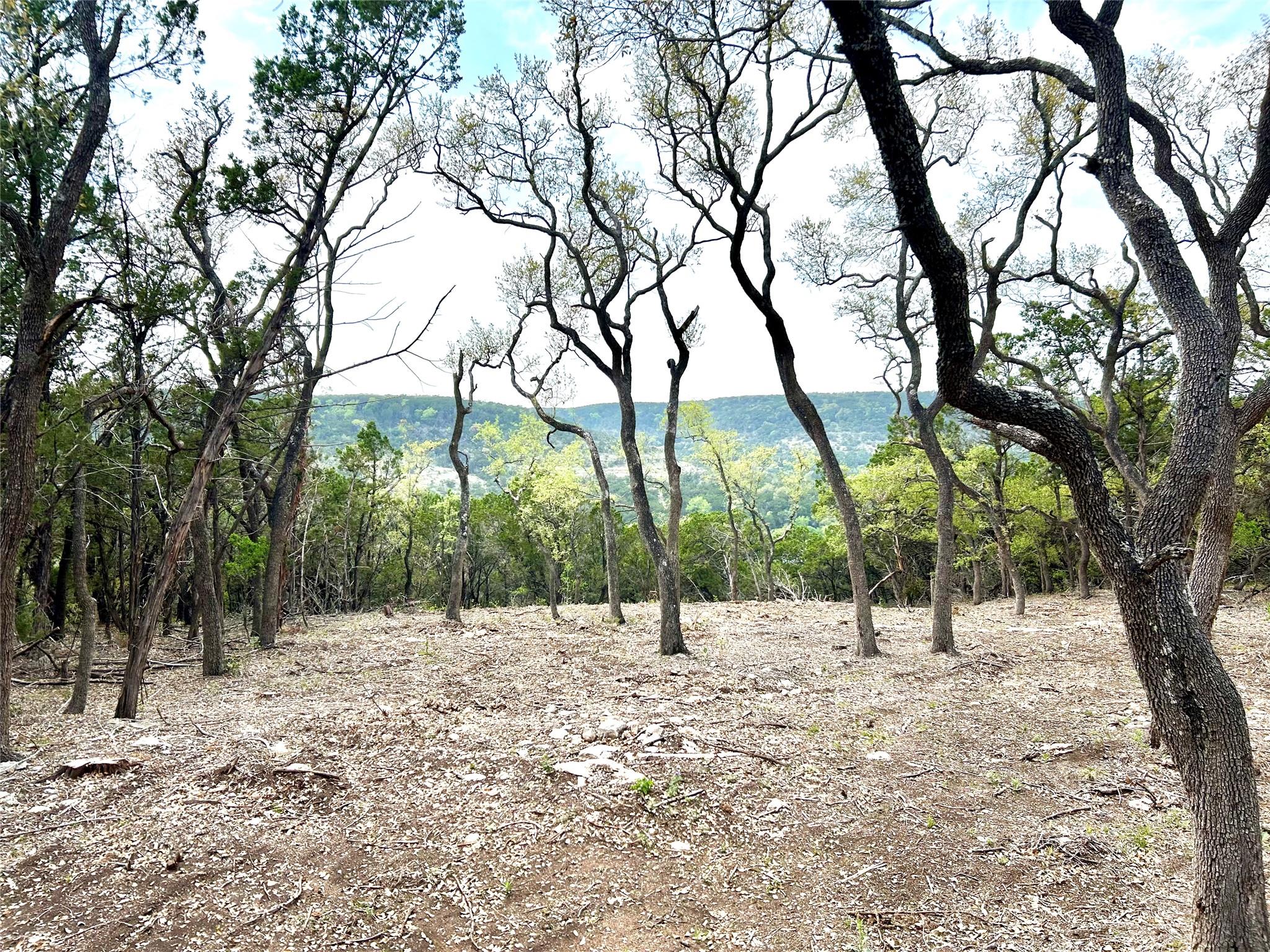 10651 Ranch Road 12 Un # D, Wimberley, TX 78676