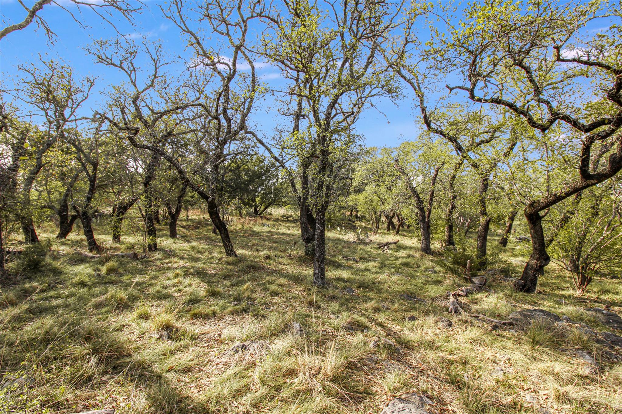 TBD Crest View, Horseshoe Bay, TX 78657